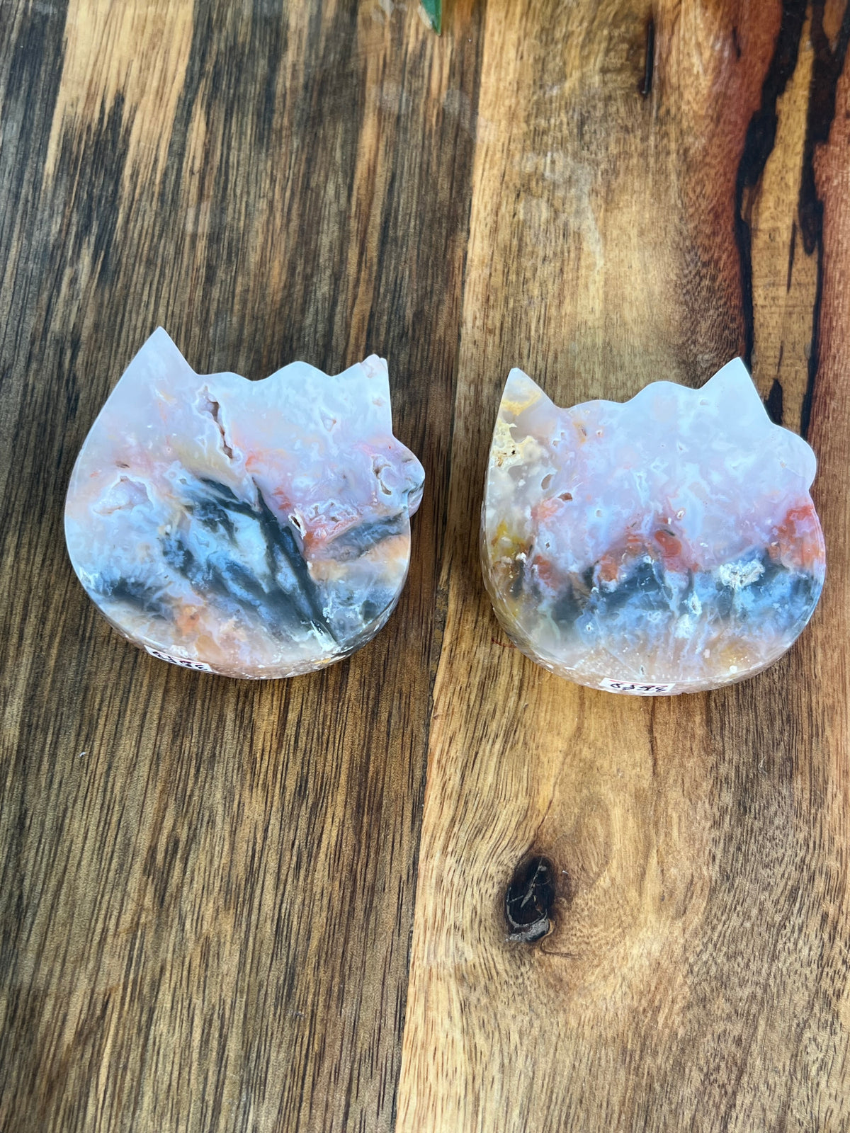 Rainbow Plume Agate Cat Heads