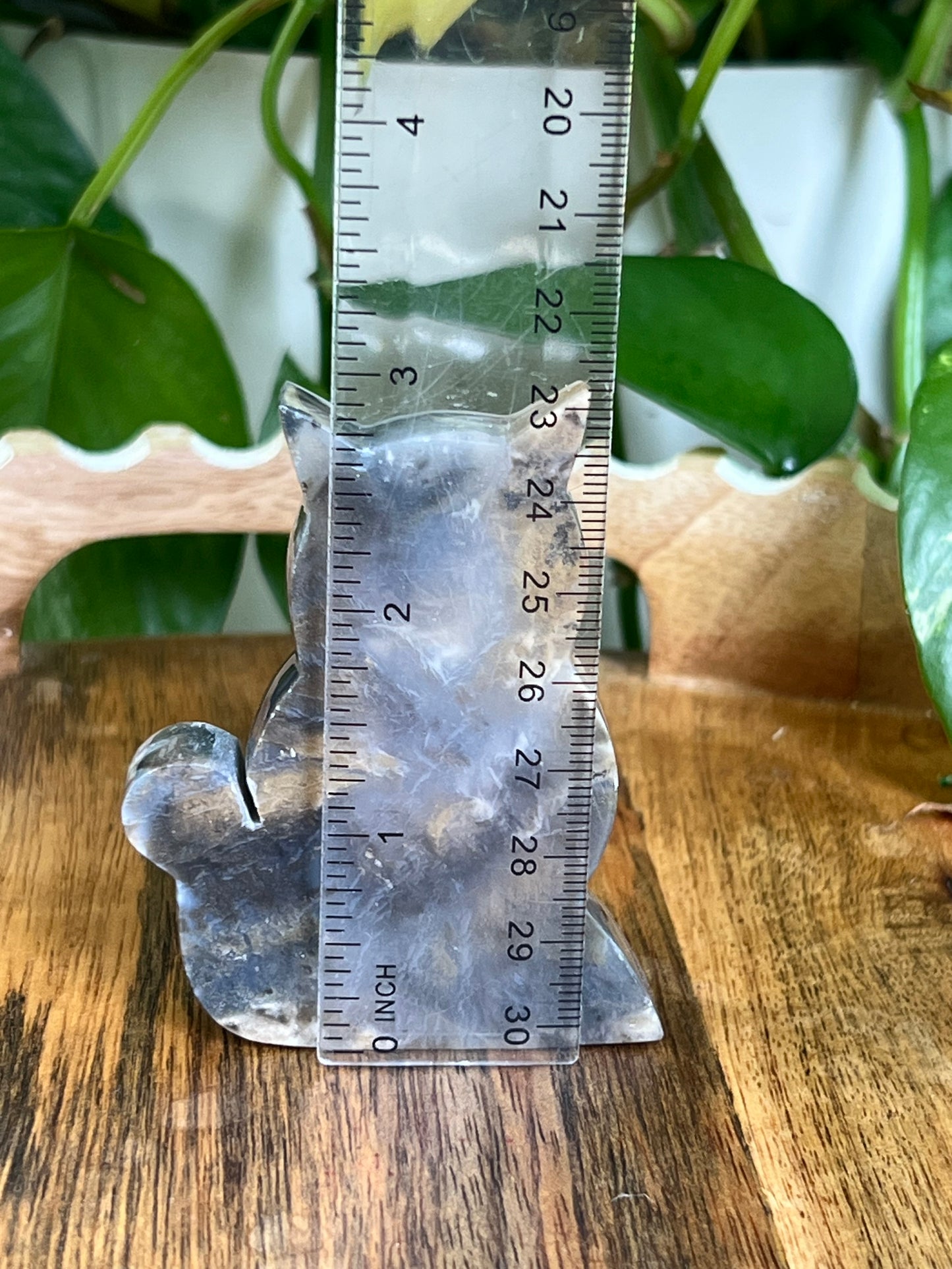 Dendritic Tiger Agate Cat AT