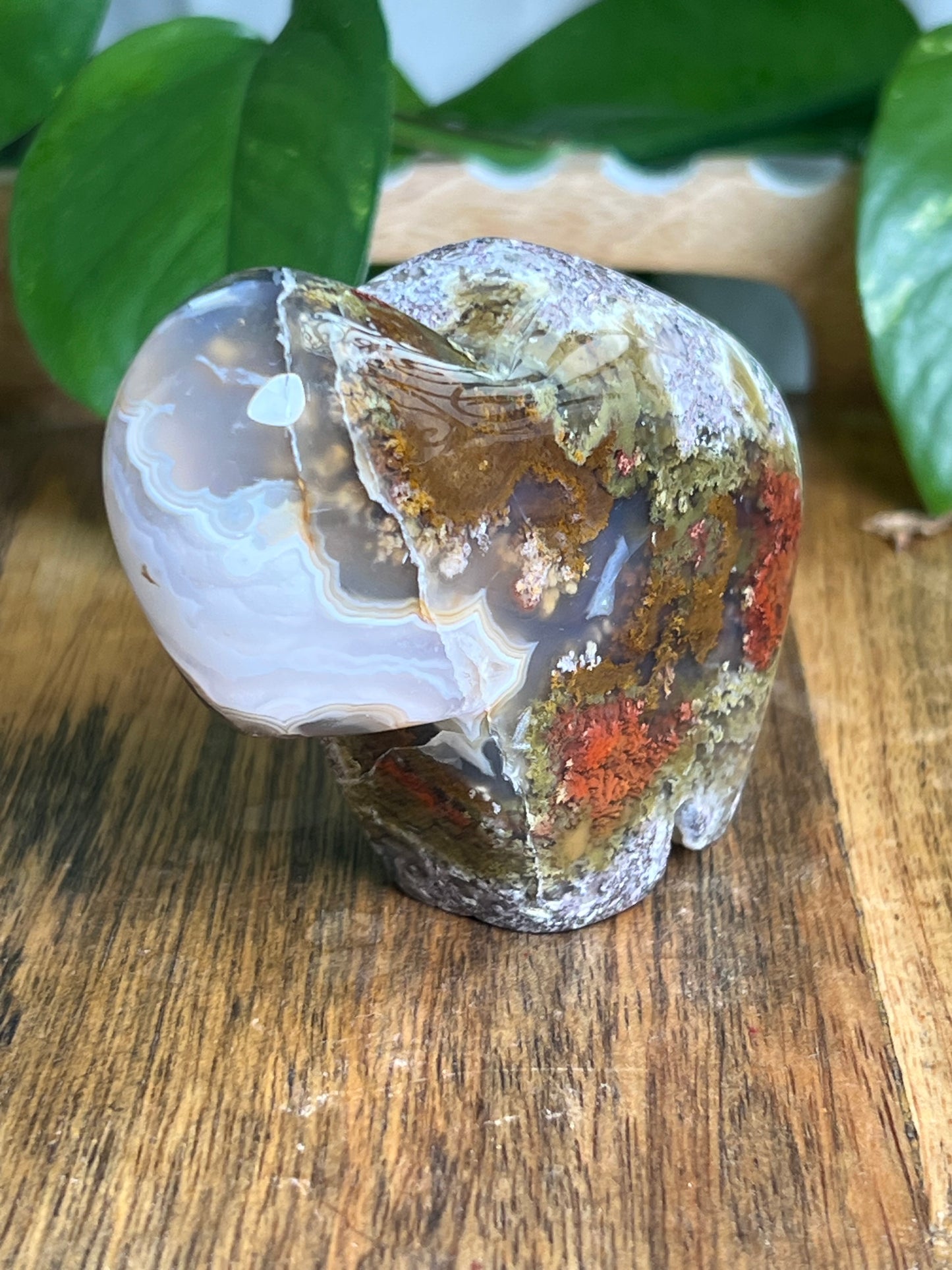Scenic Moss Agate Buffalo ME