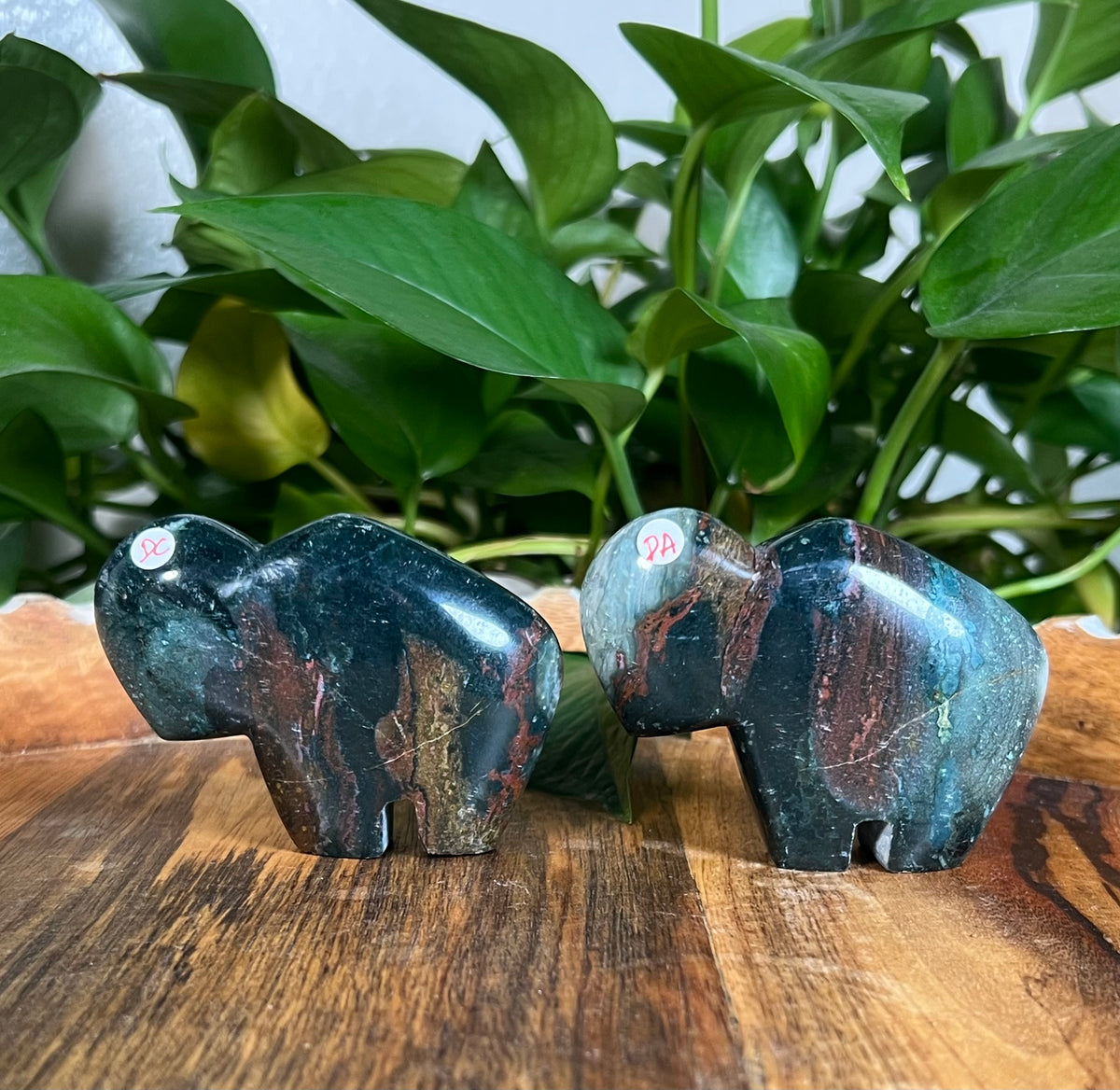 Blue Green Jasper Buffalos