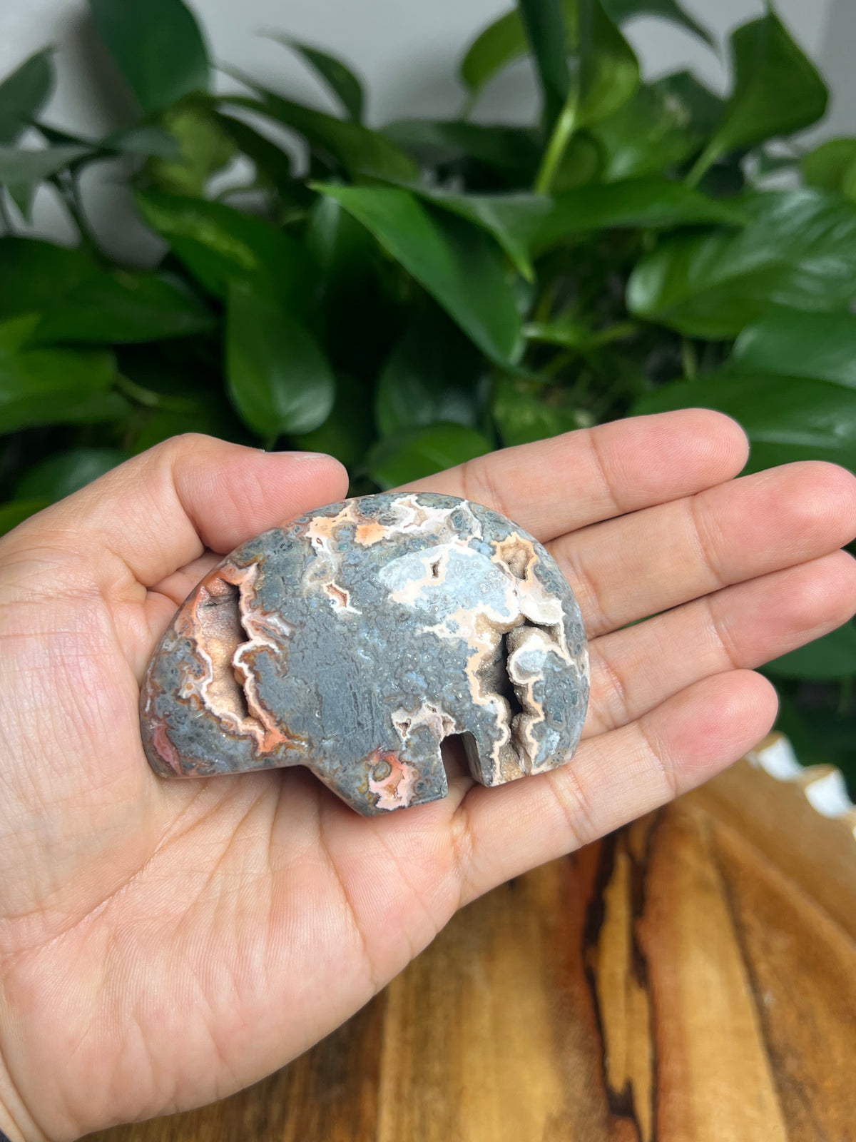 Marcasite Bear: TK
