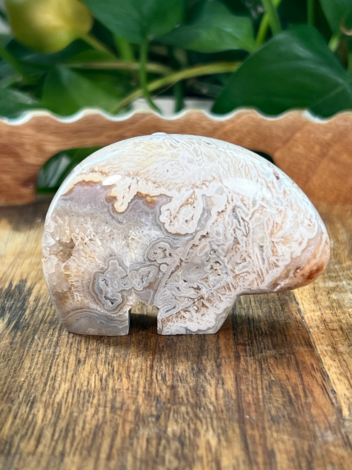 Tube Agate Bear: Ni