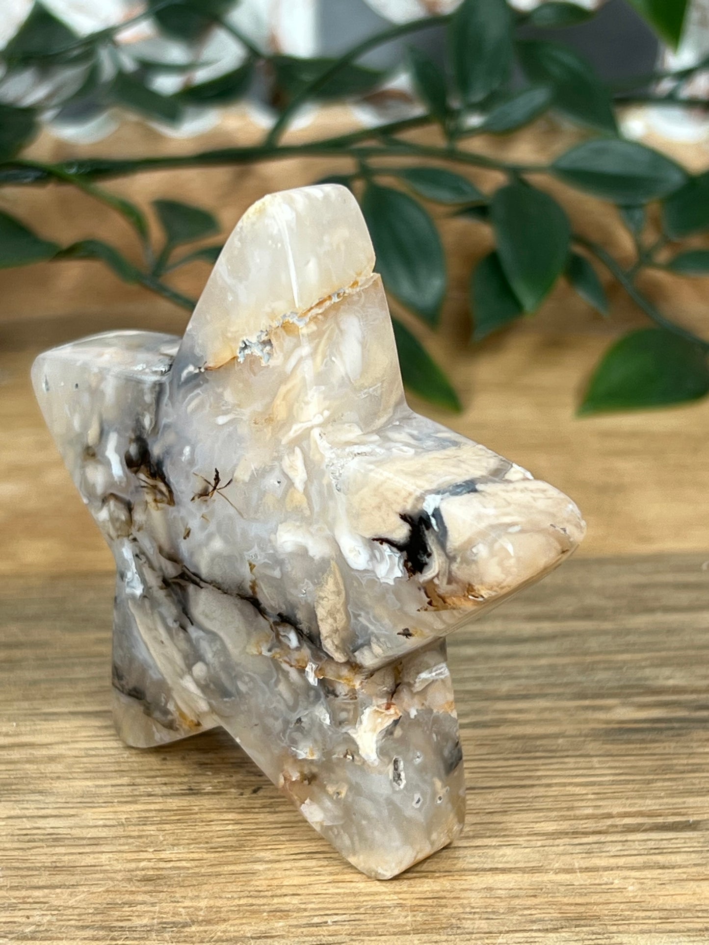 Dendritic Tiger Agate Star