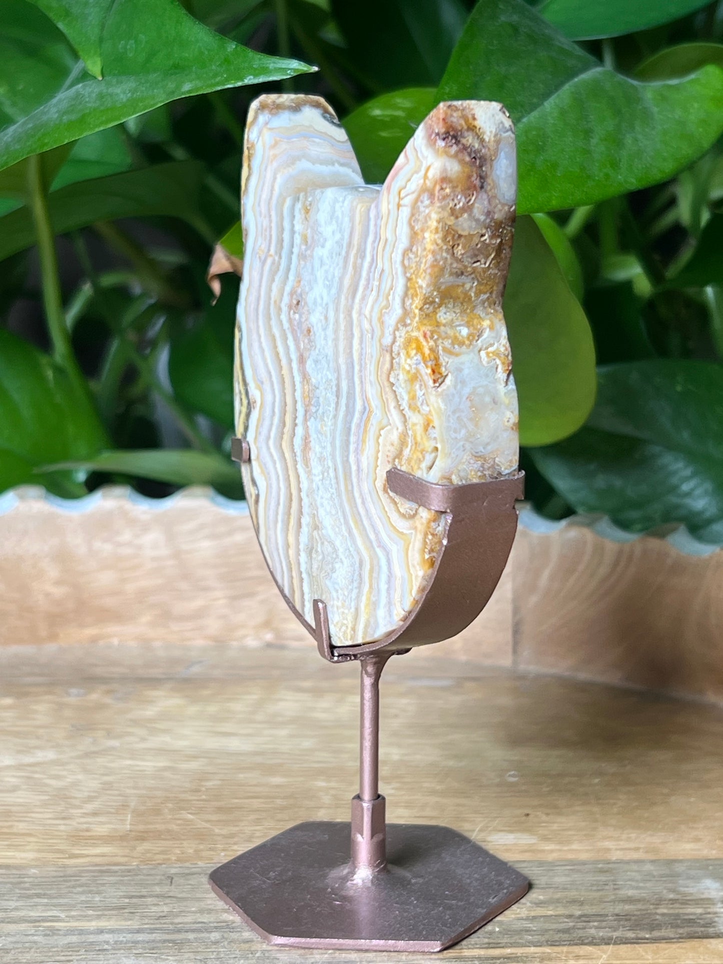 Crazy Lace Agate Cat Head