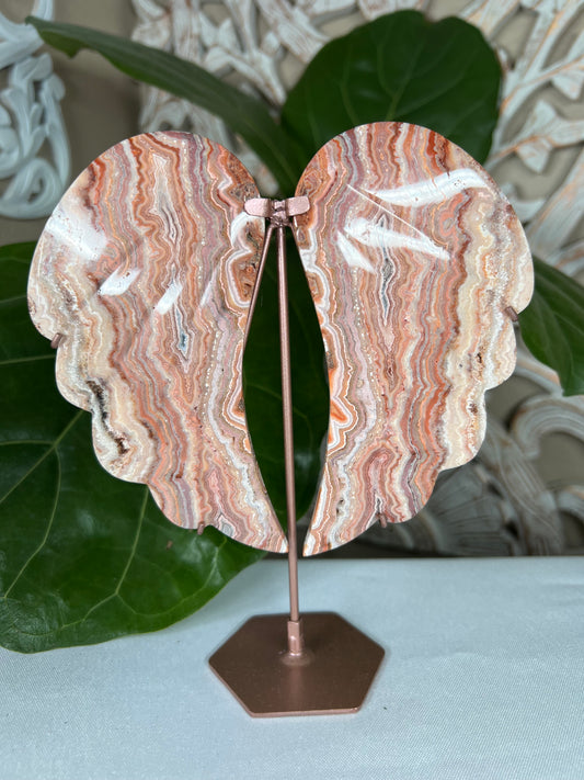 Crazy Lace Agate Wings