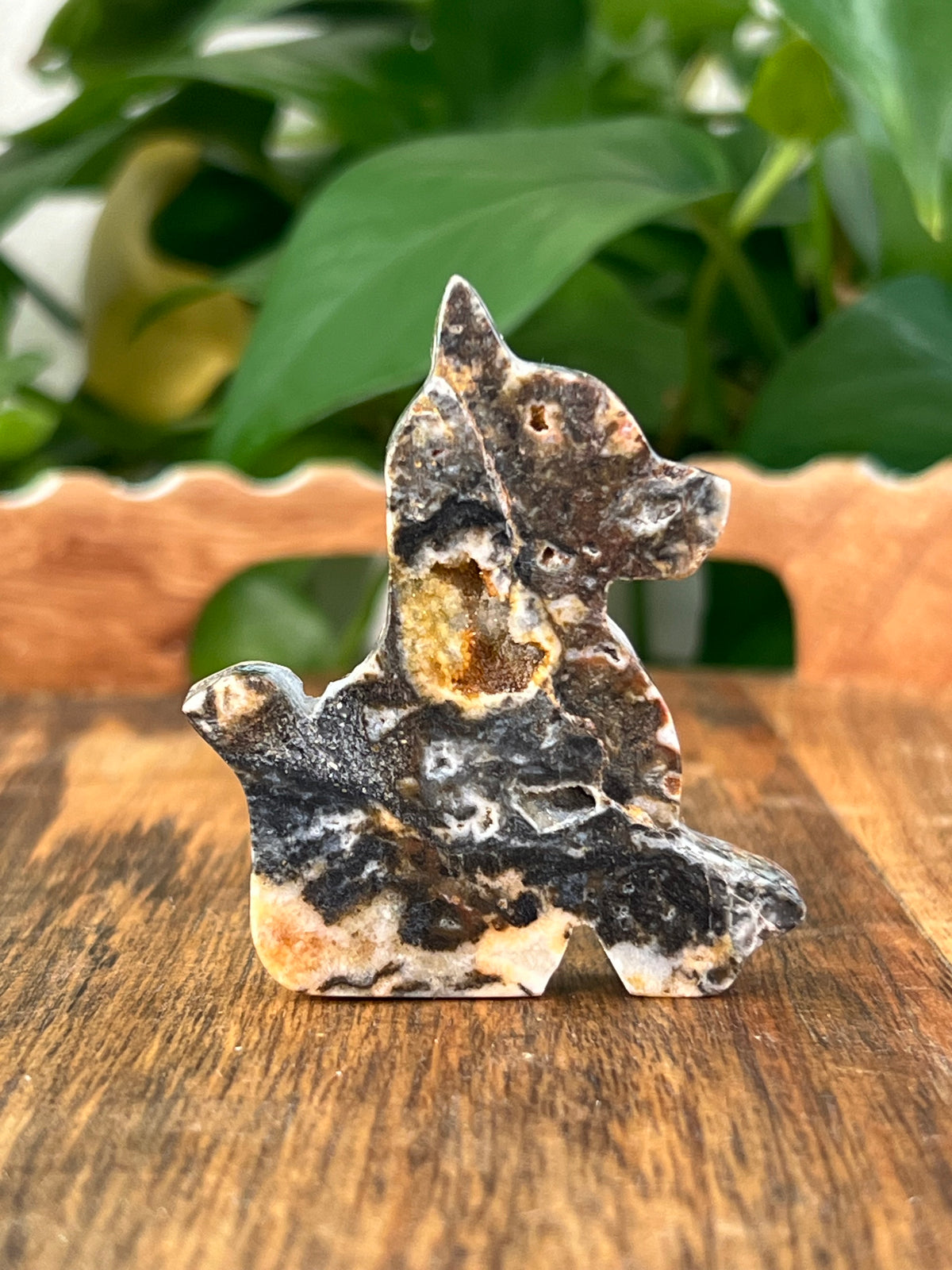 Sphalerite Dogs