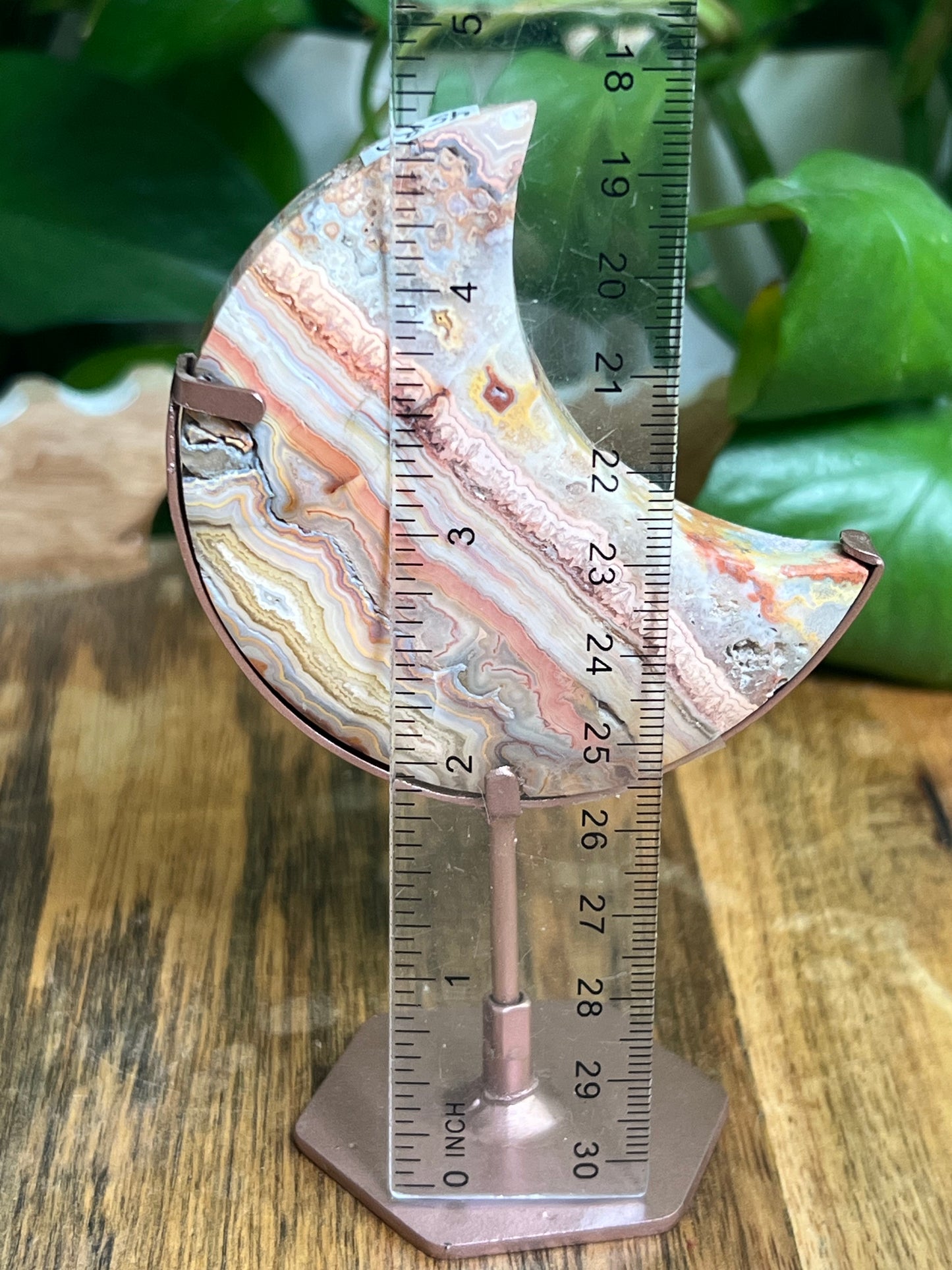 Crazy Lace Agate Moon