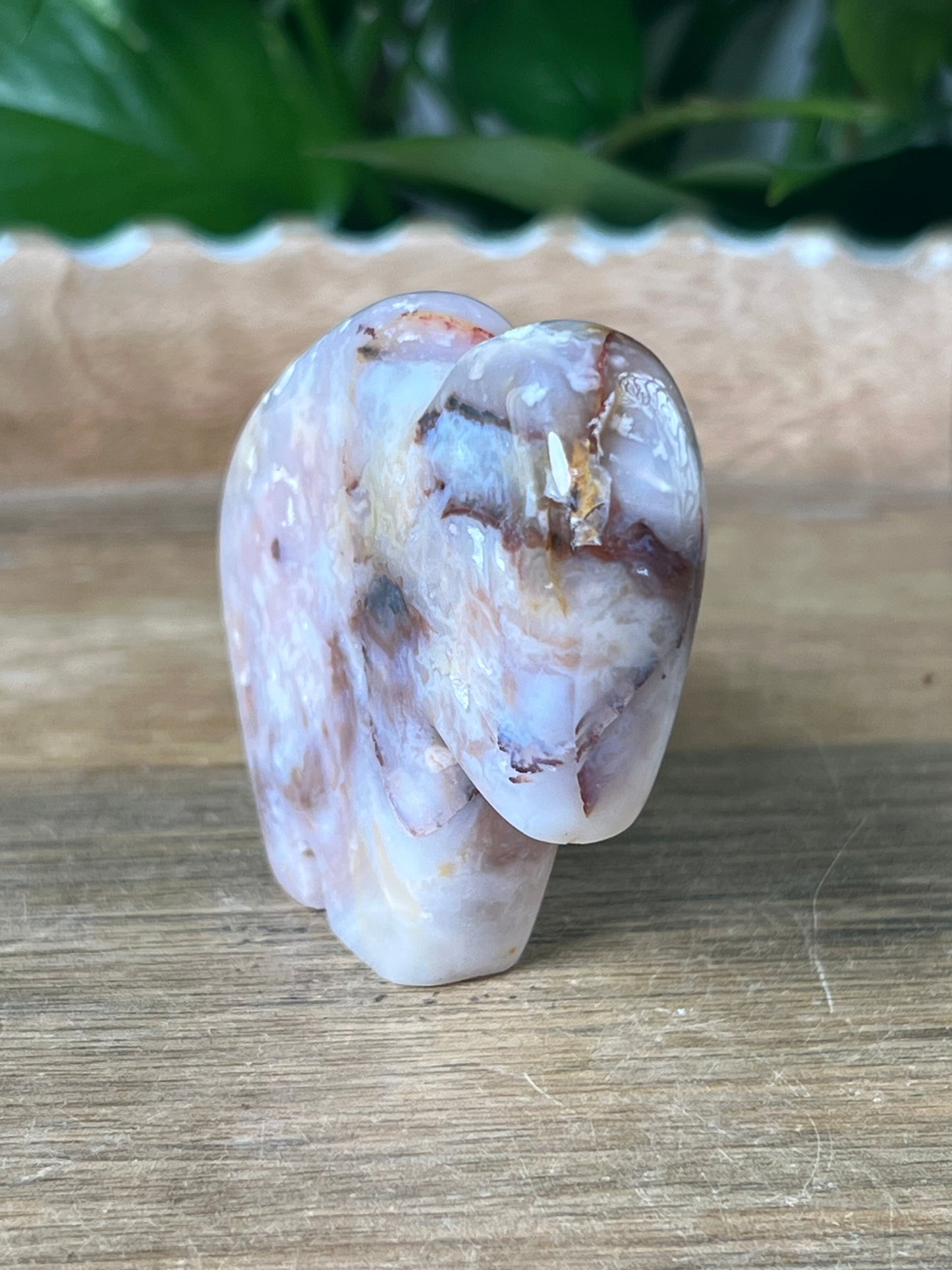 Rainbow Plume Agate Buffalo