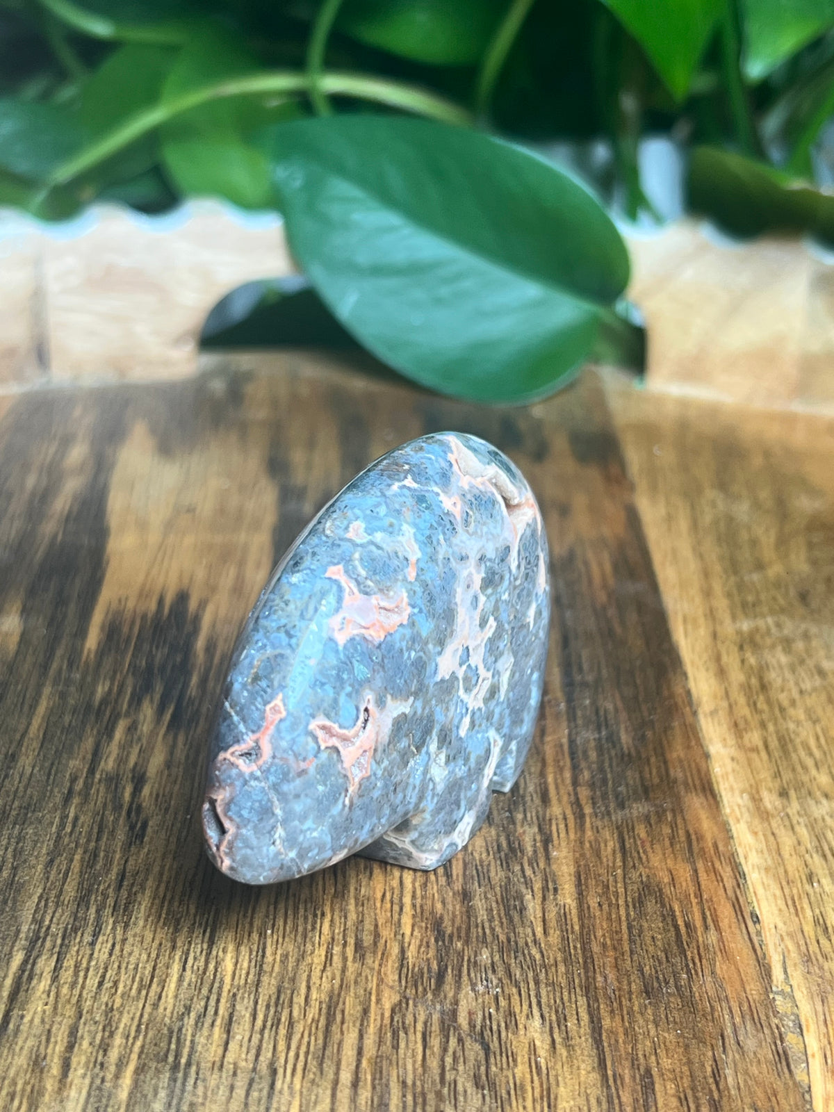 Marcasite Bear: TX