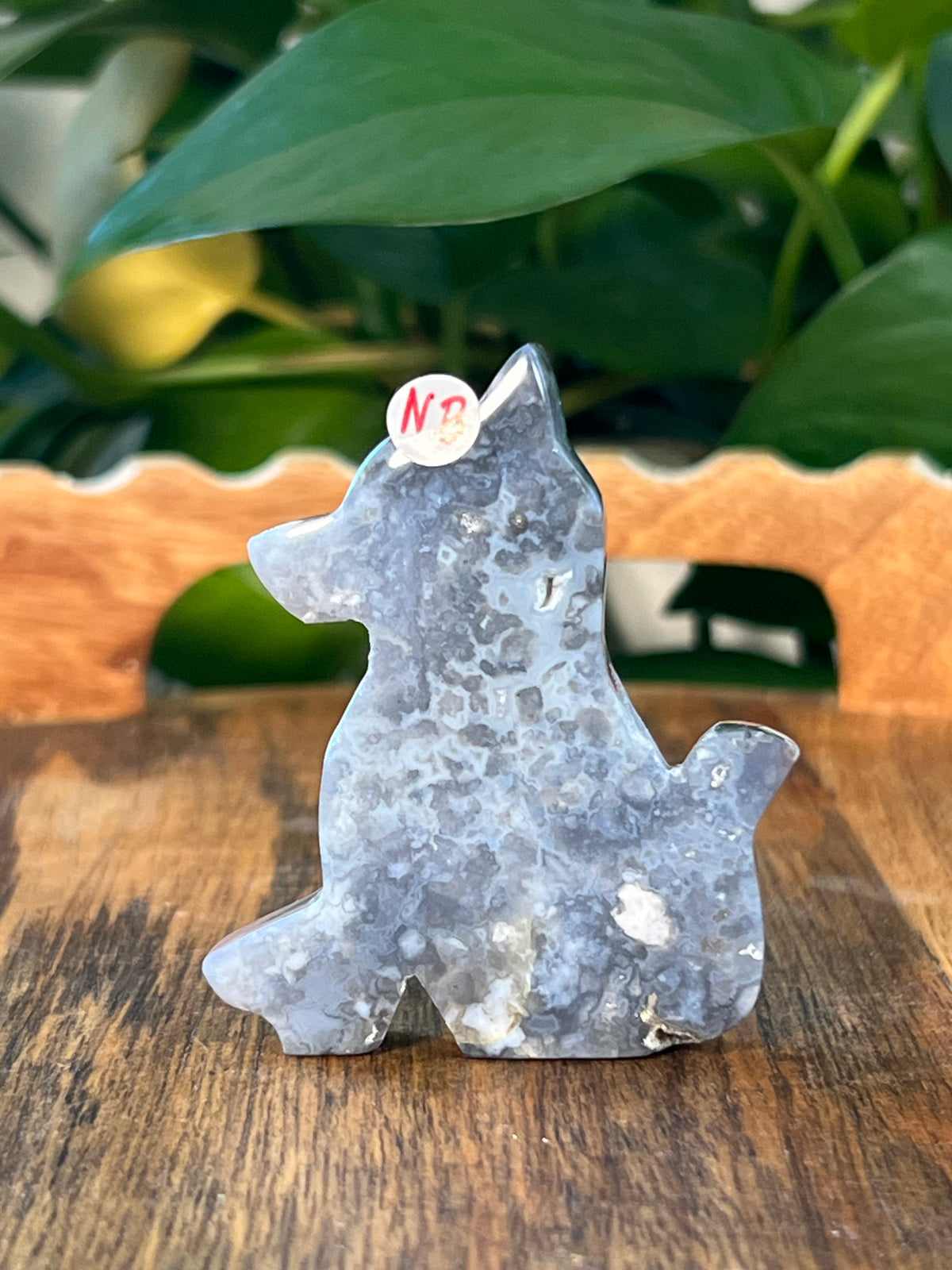 Blue Plume Agate Dogs