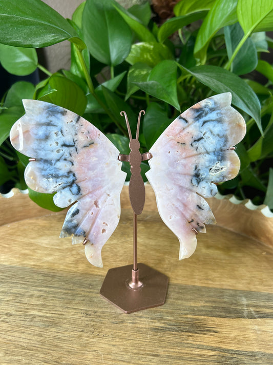 Rainbow Plume Agate Wings