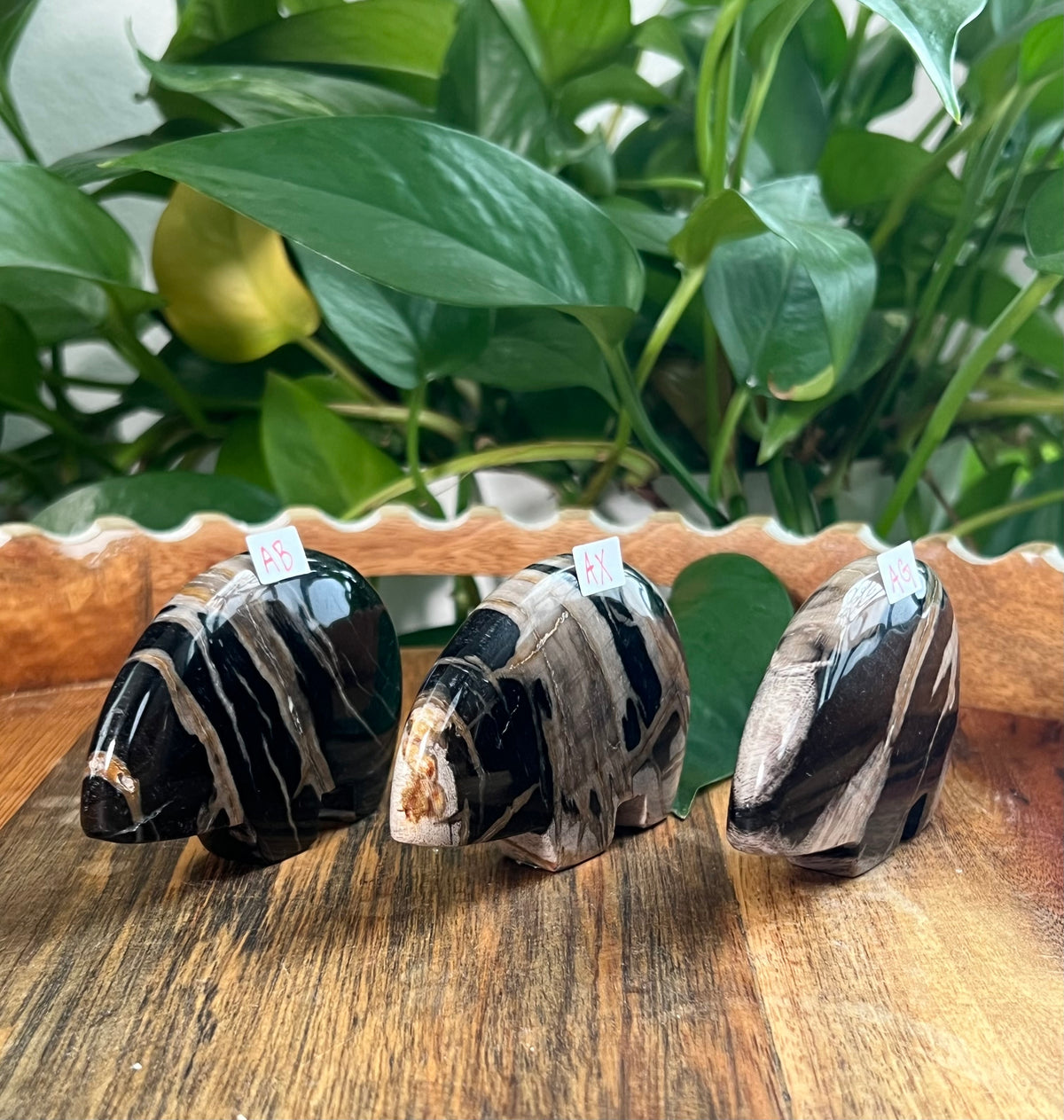 Fossil Wood Bears