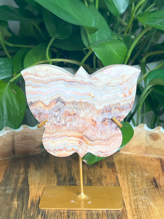 Crazy Lace Agate Butterfly: PD