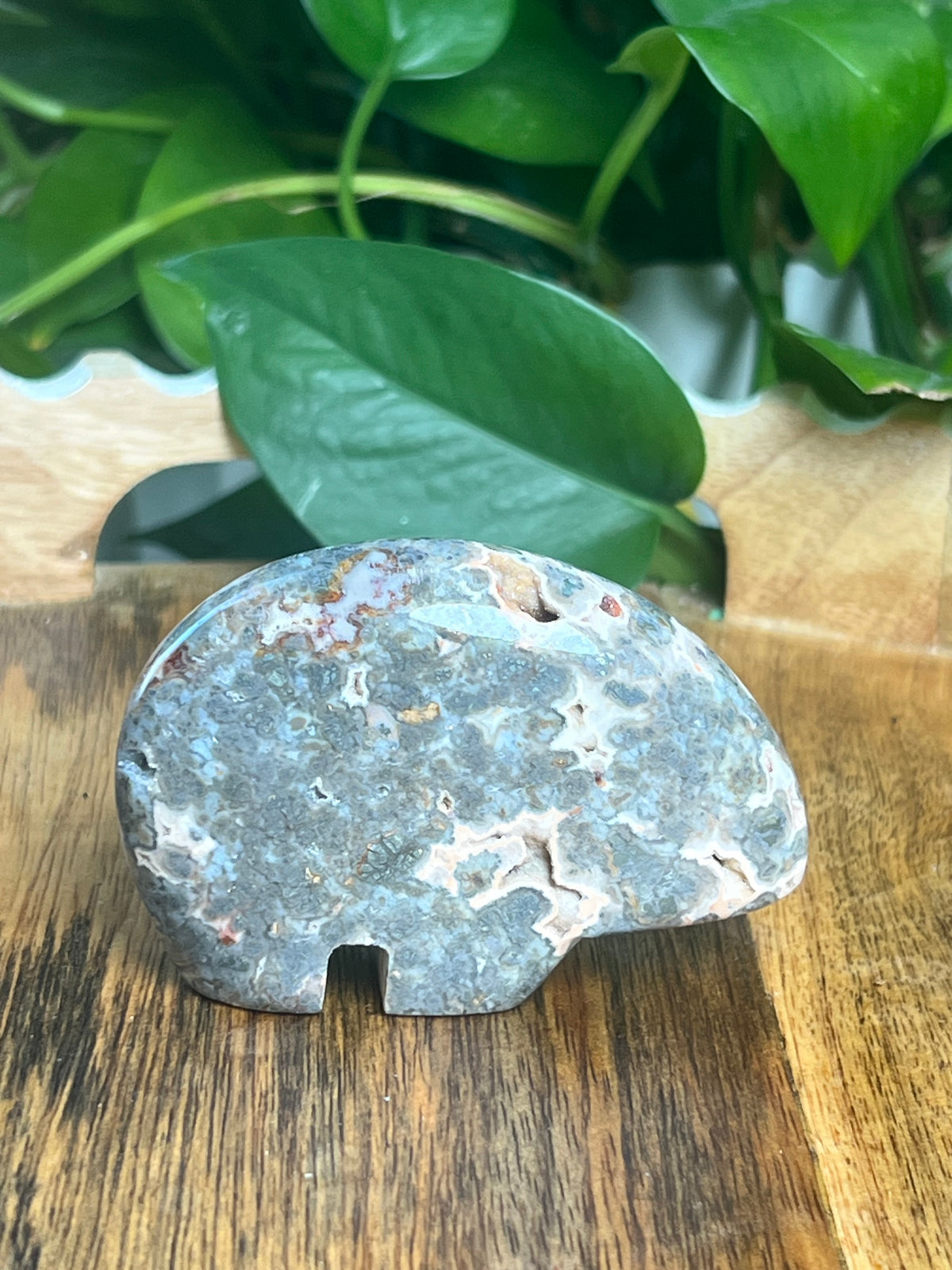 Marcasite Bear: TE