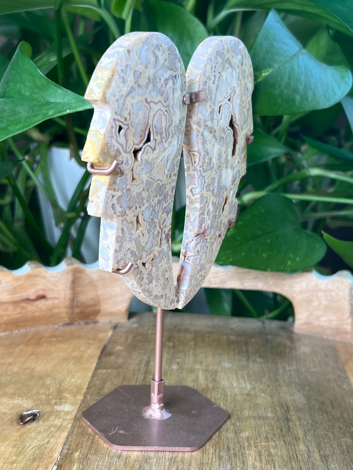 Crazy Lace Agate Wings