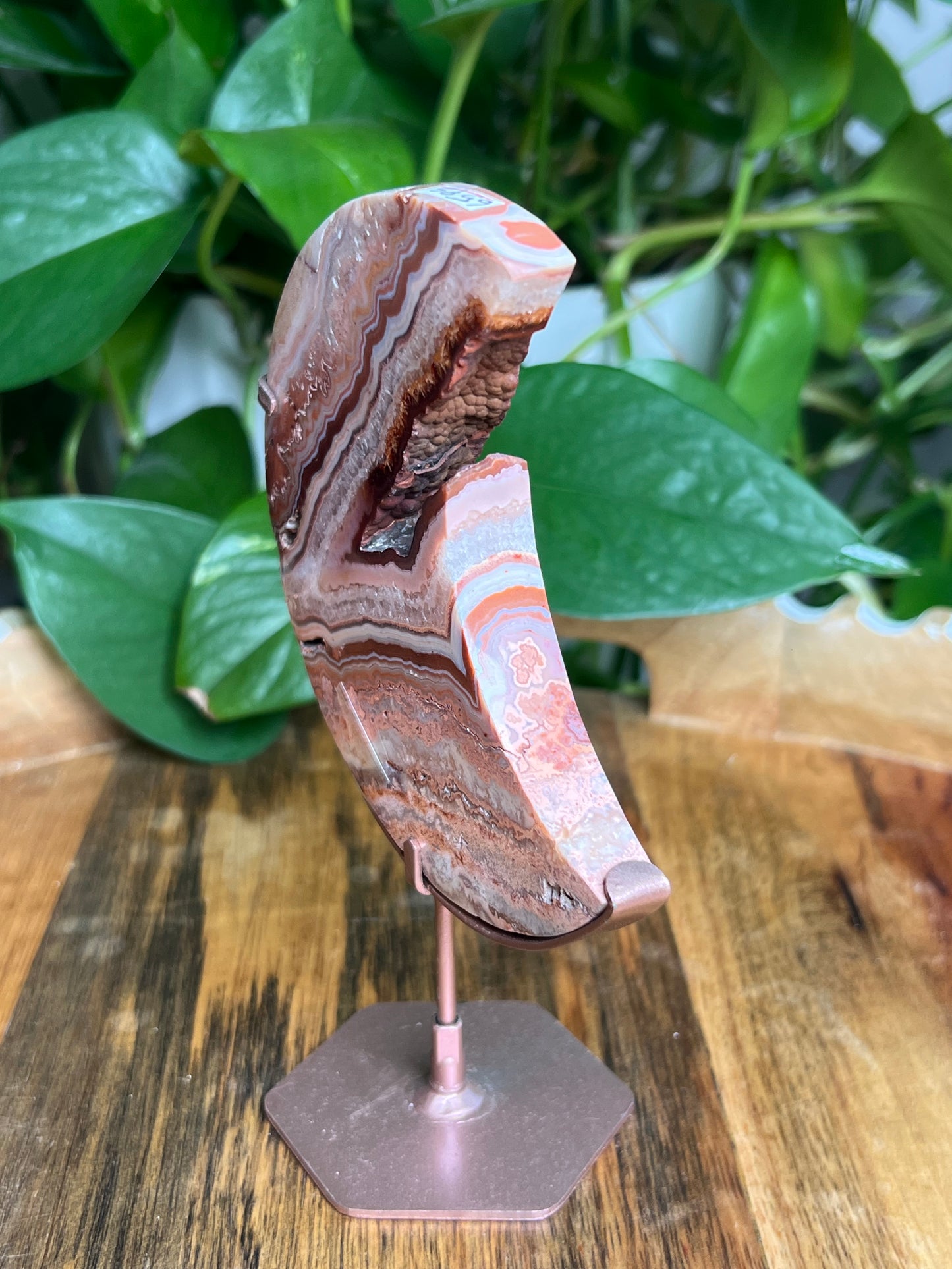 Crazy Lace Agate Moon: PS