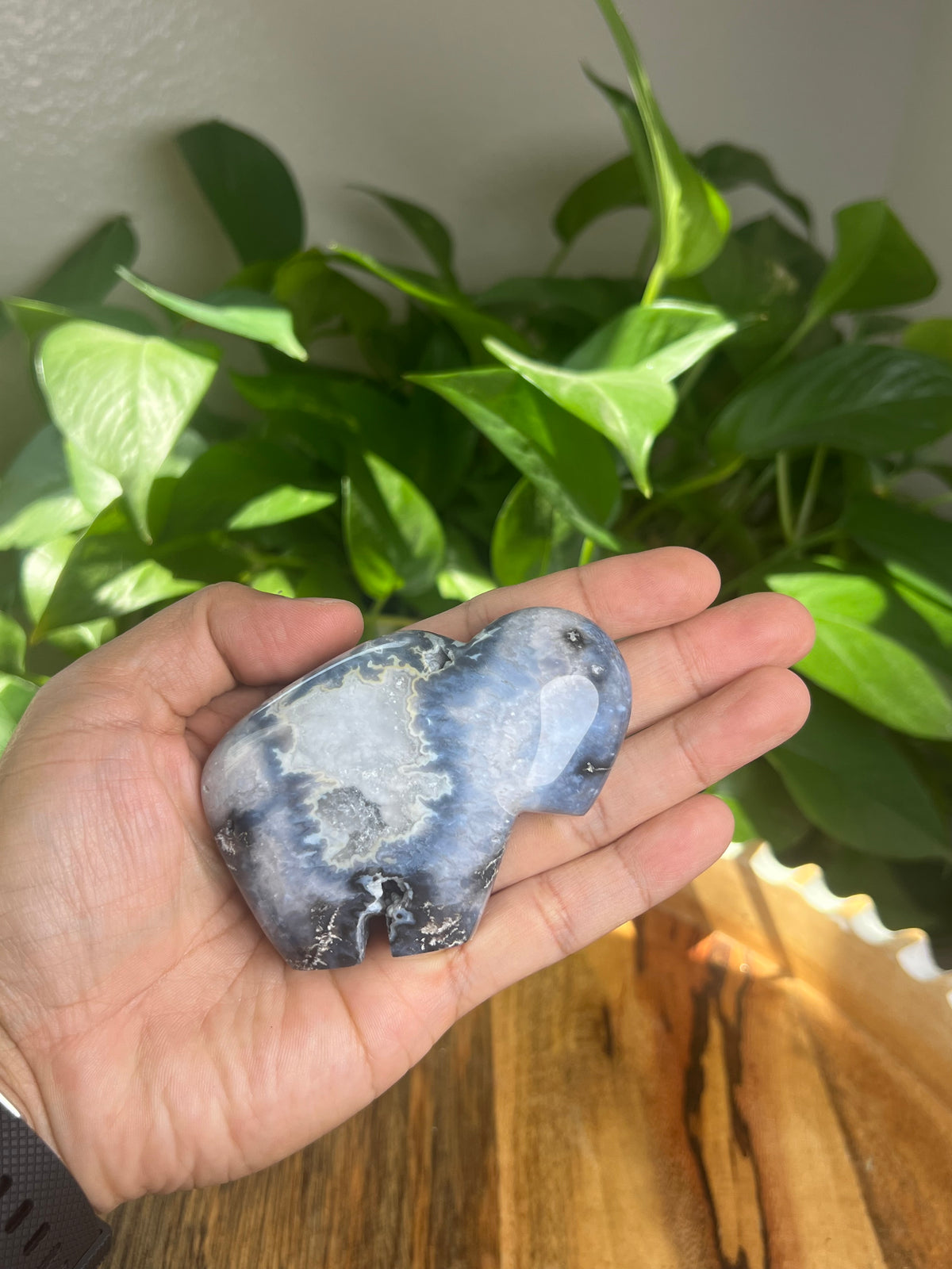 Blue Plume Agate Buffalo: BB