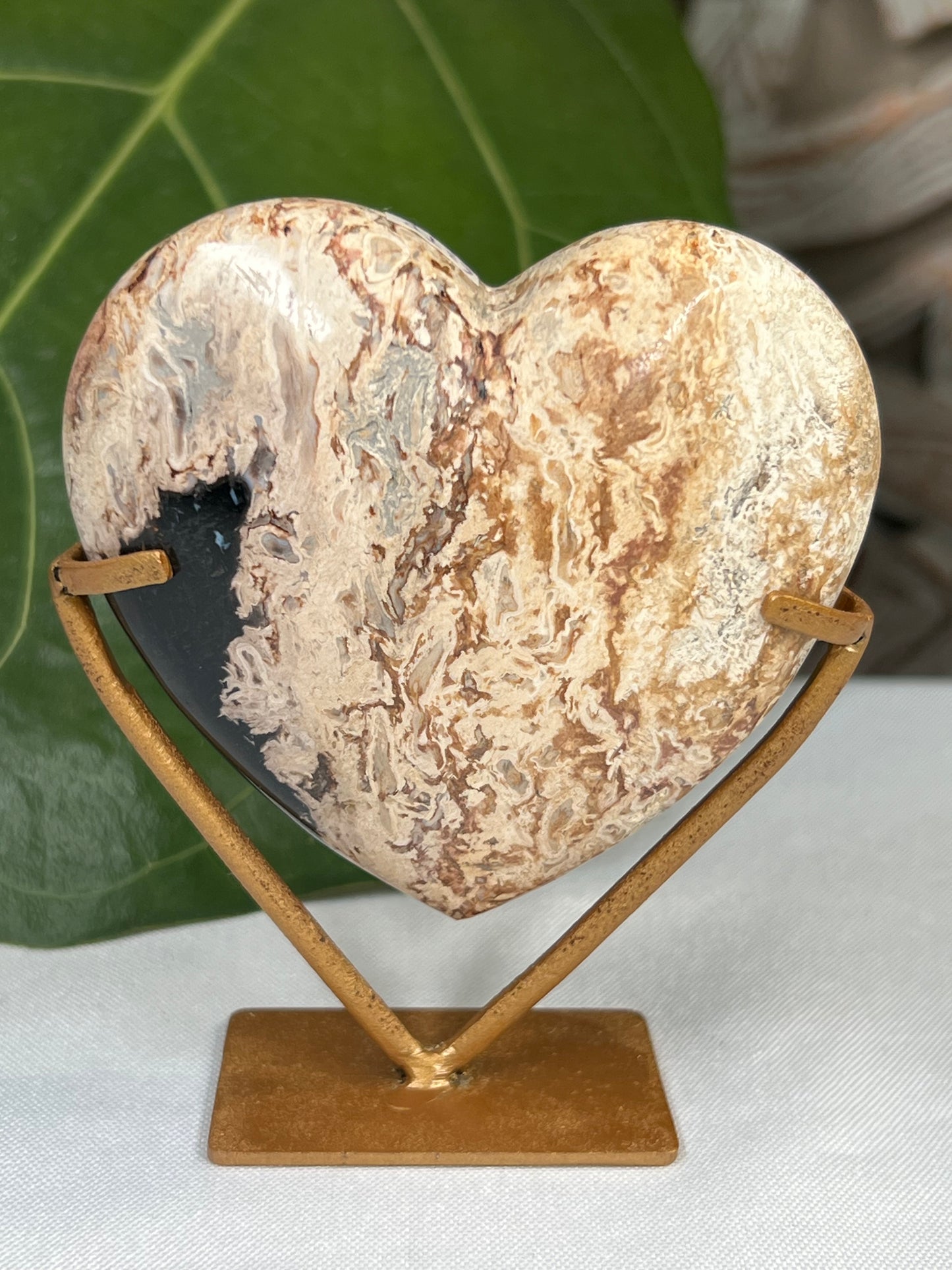 Palm Root Heart