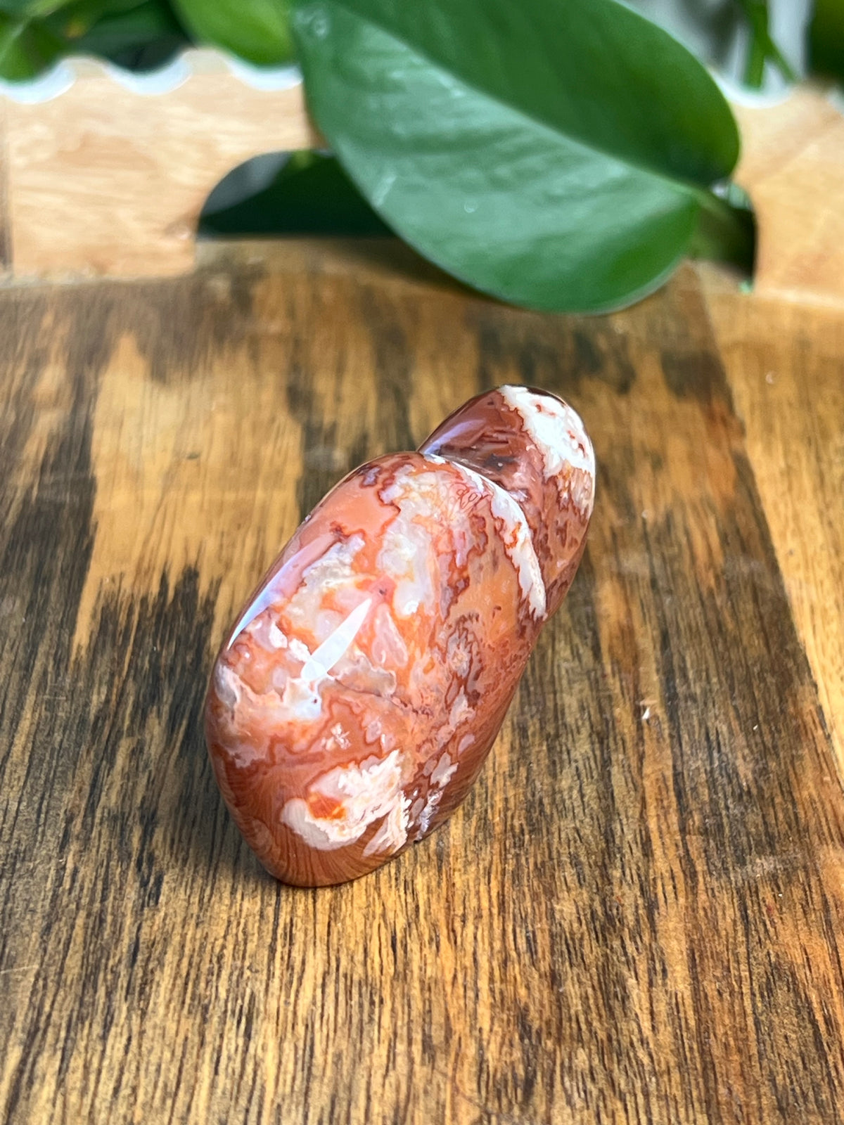 Carnelian Mini Buffalo: BK