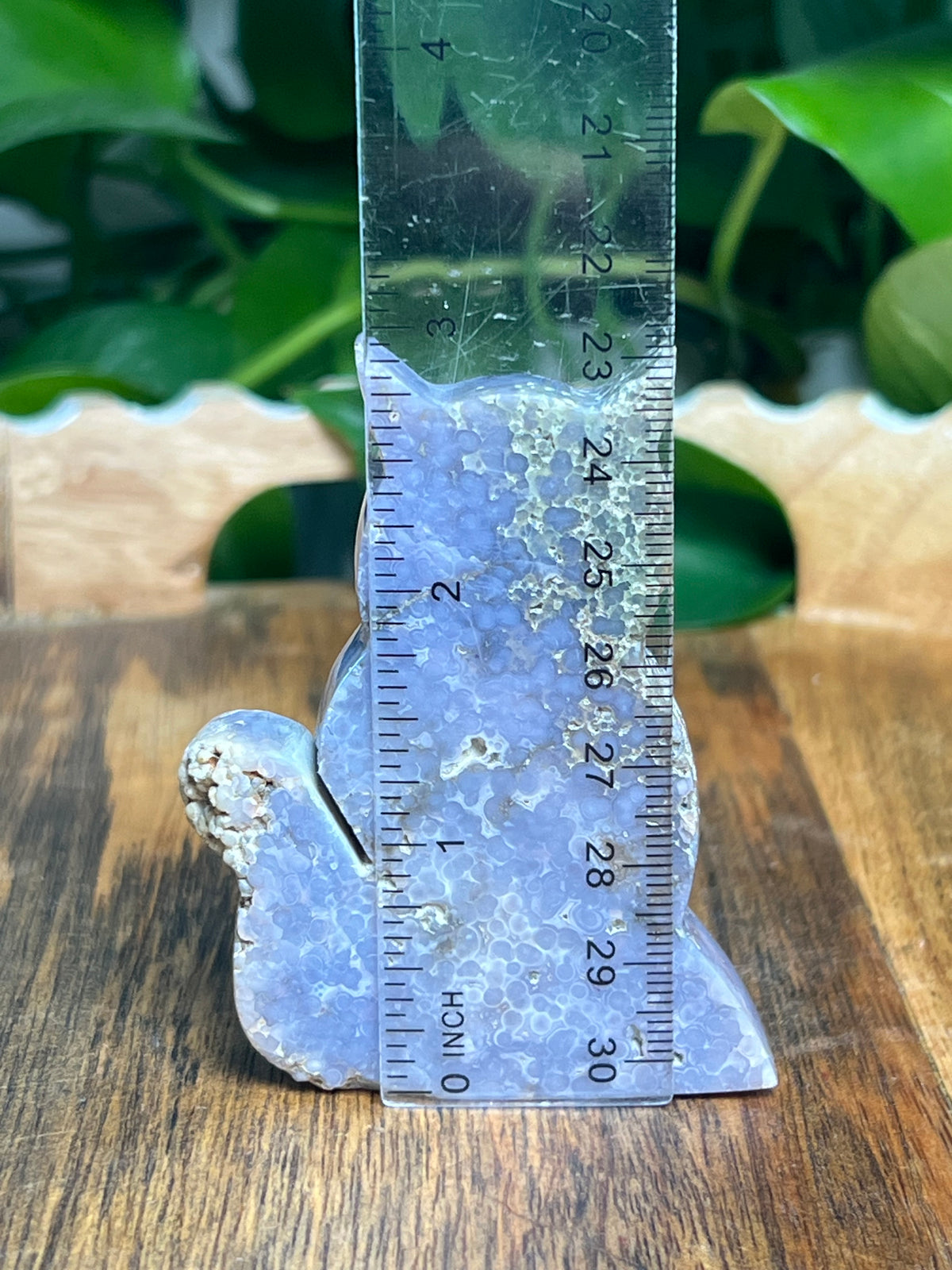Grape Agate Cat: NV