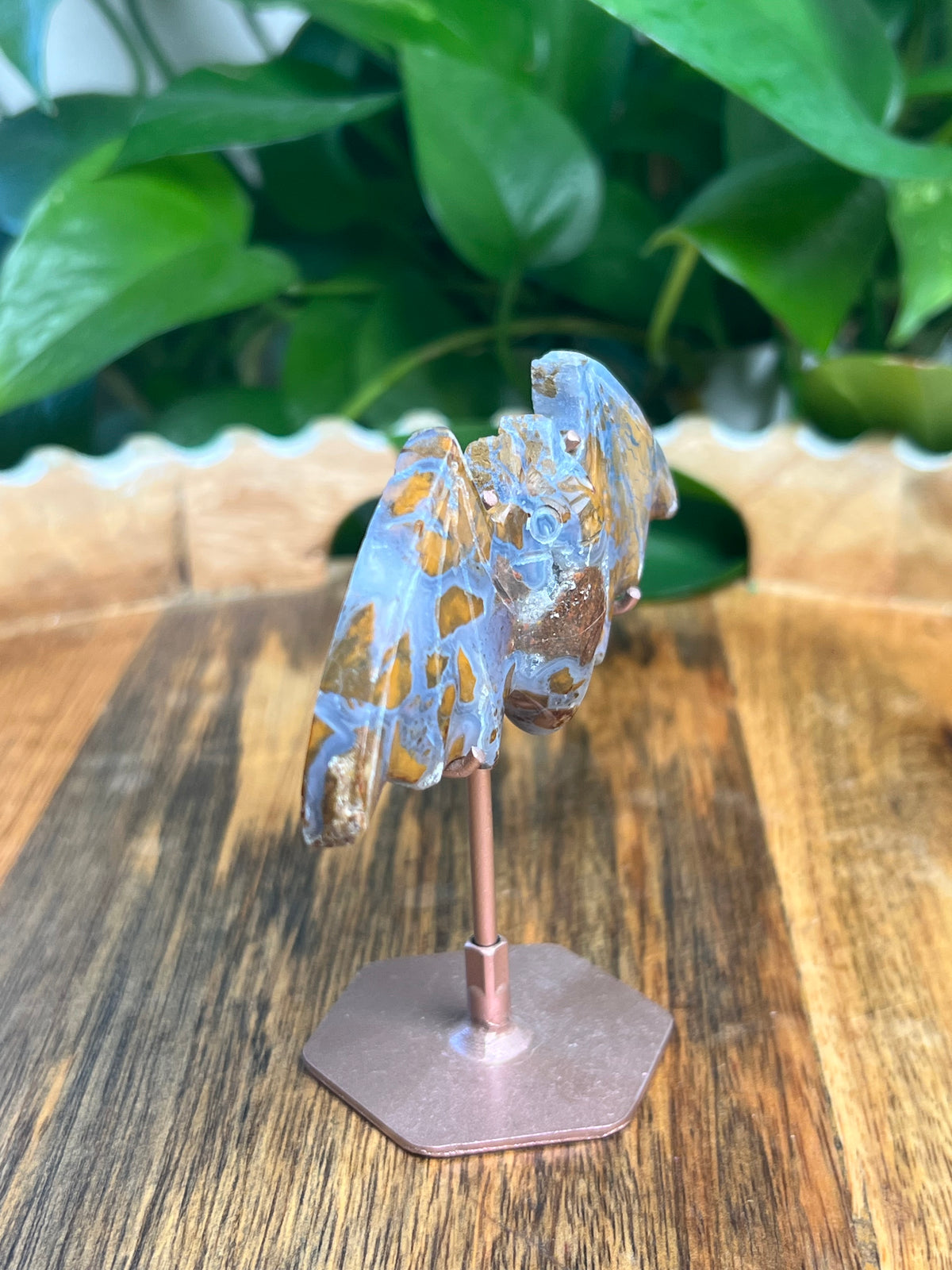 Brecciated Jasper Bat: RG