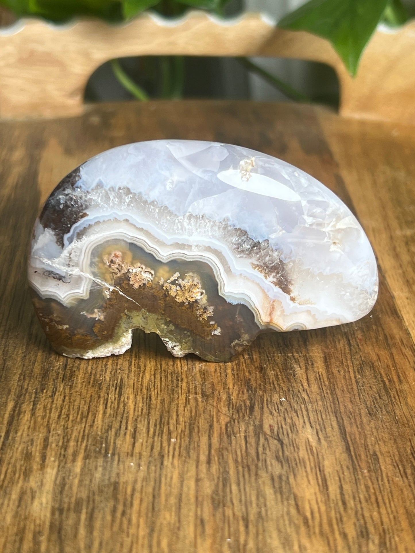 Scenic Moss Agate Bear BG