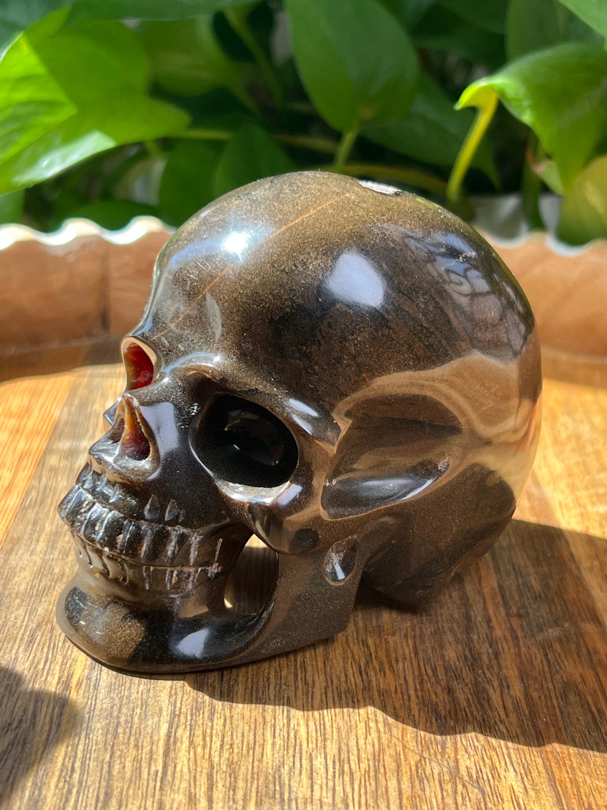Amber Skull: NZ