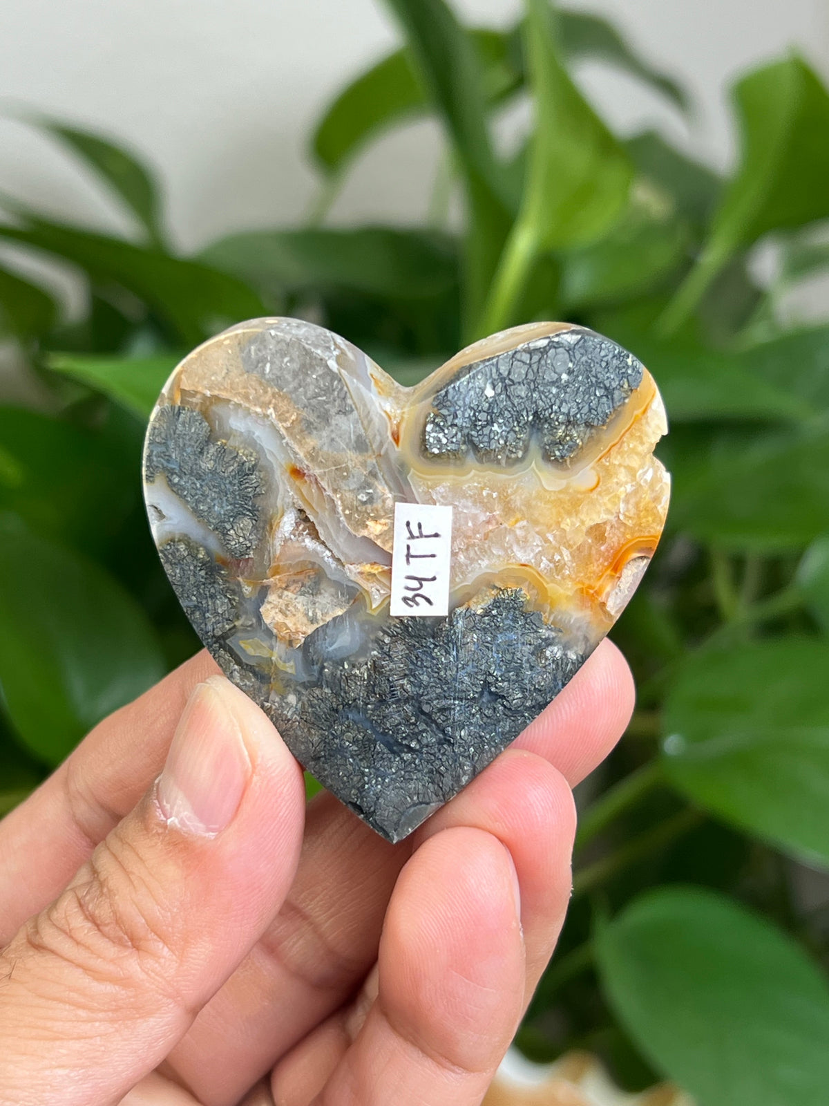 Marcasite 3D Butterfly Heart: TF
