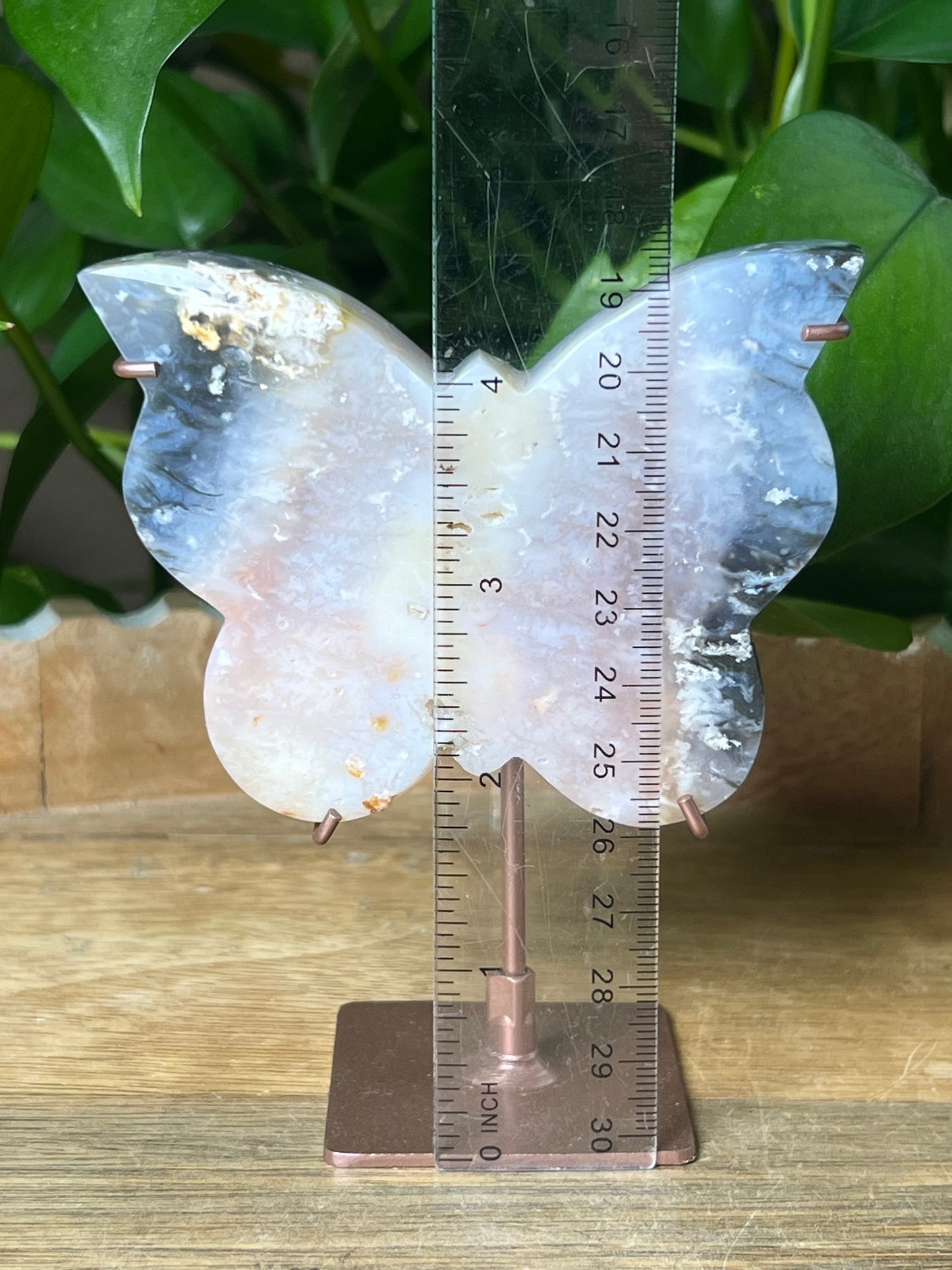 Rainbow Plume Agate Butterfly