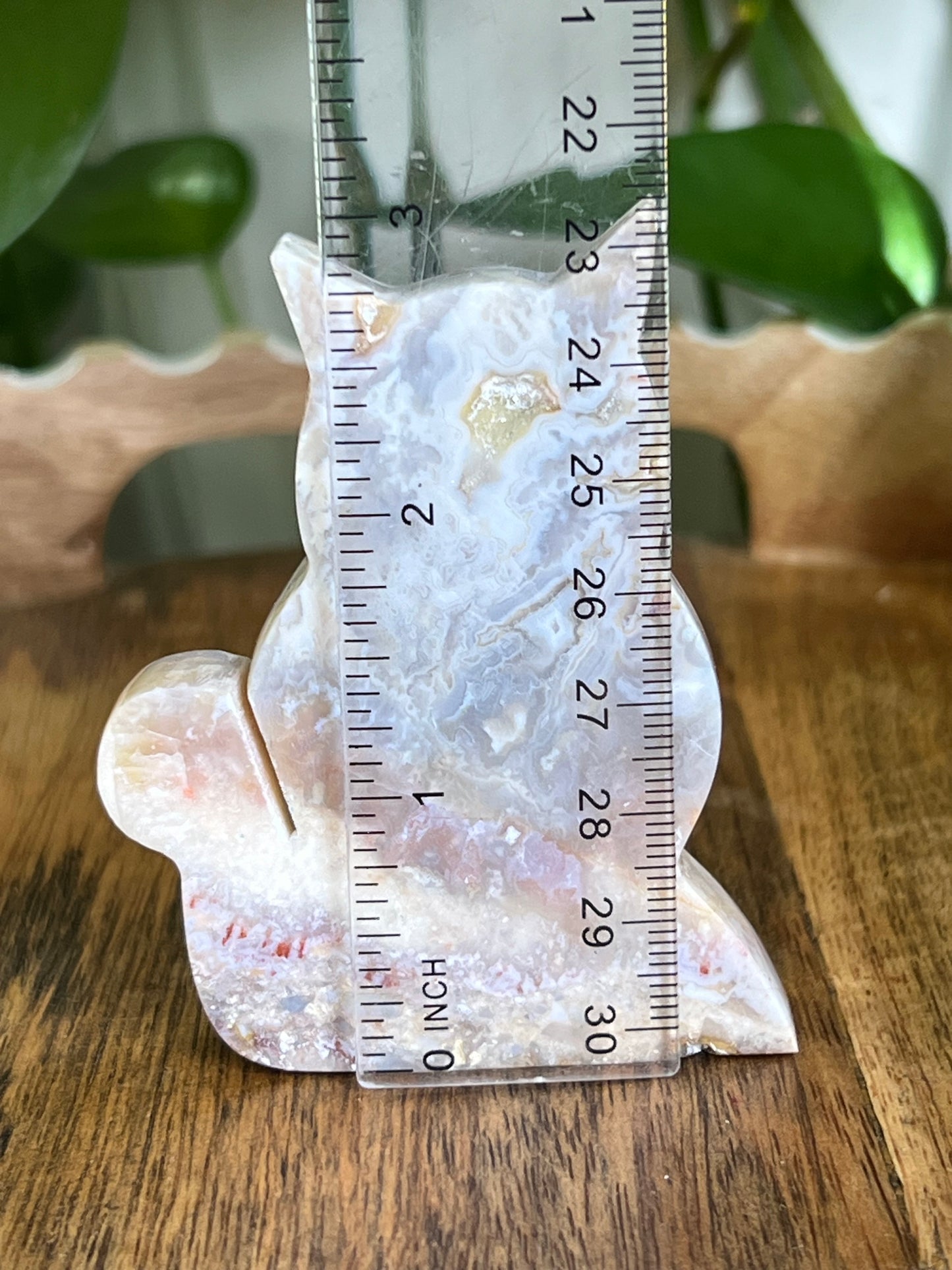 Sumatra Agate Cat EE