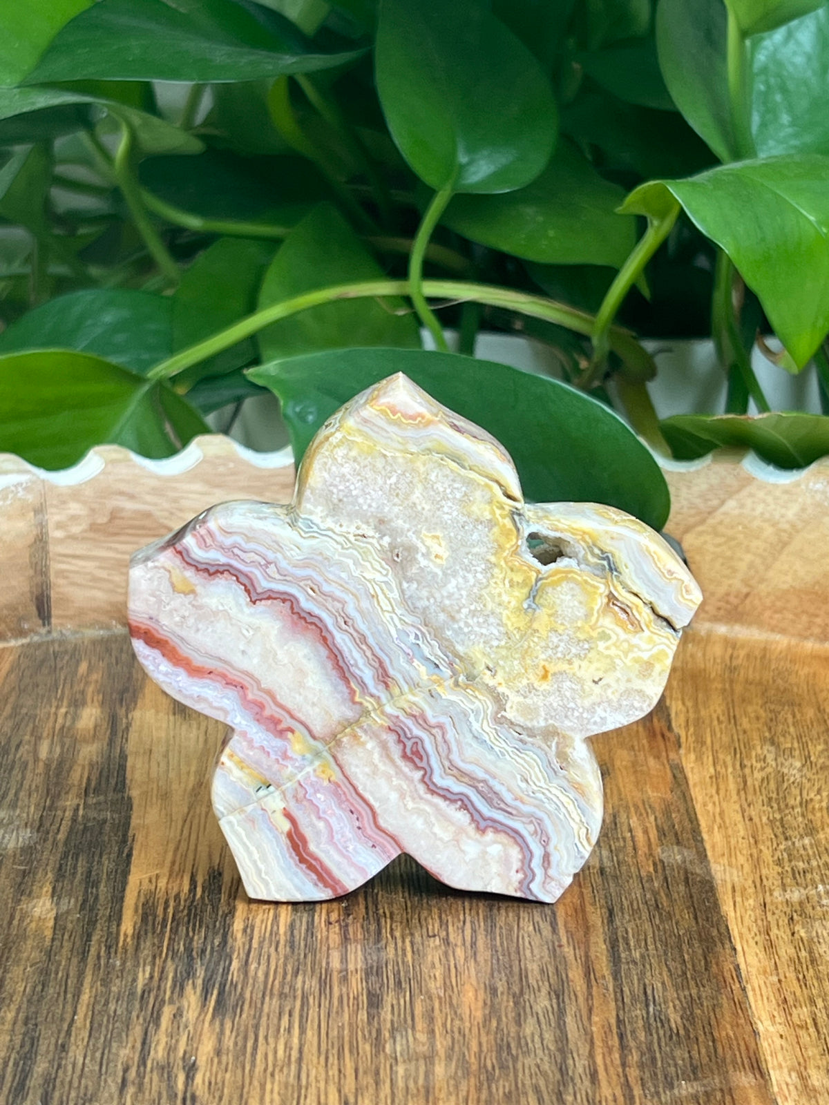Crazy Lace Agate Flower: Ci