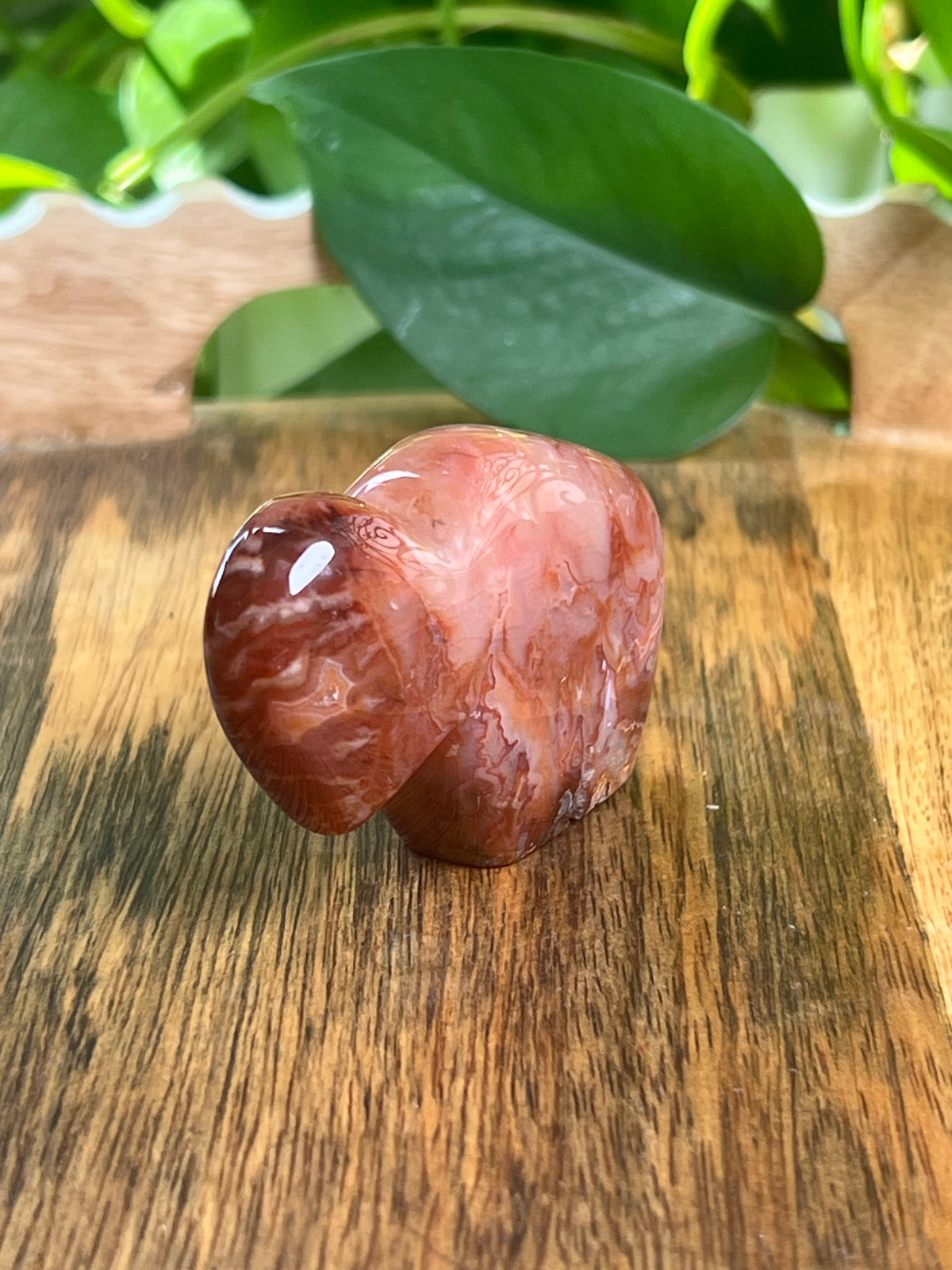 Carnelian Mini Buffalo: BB