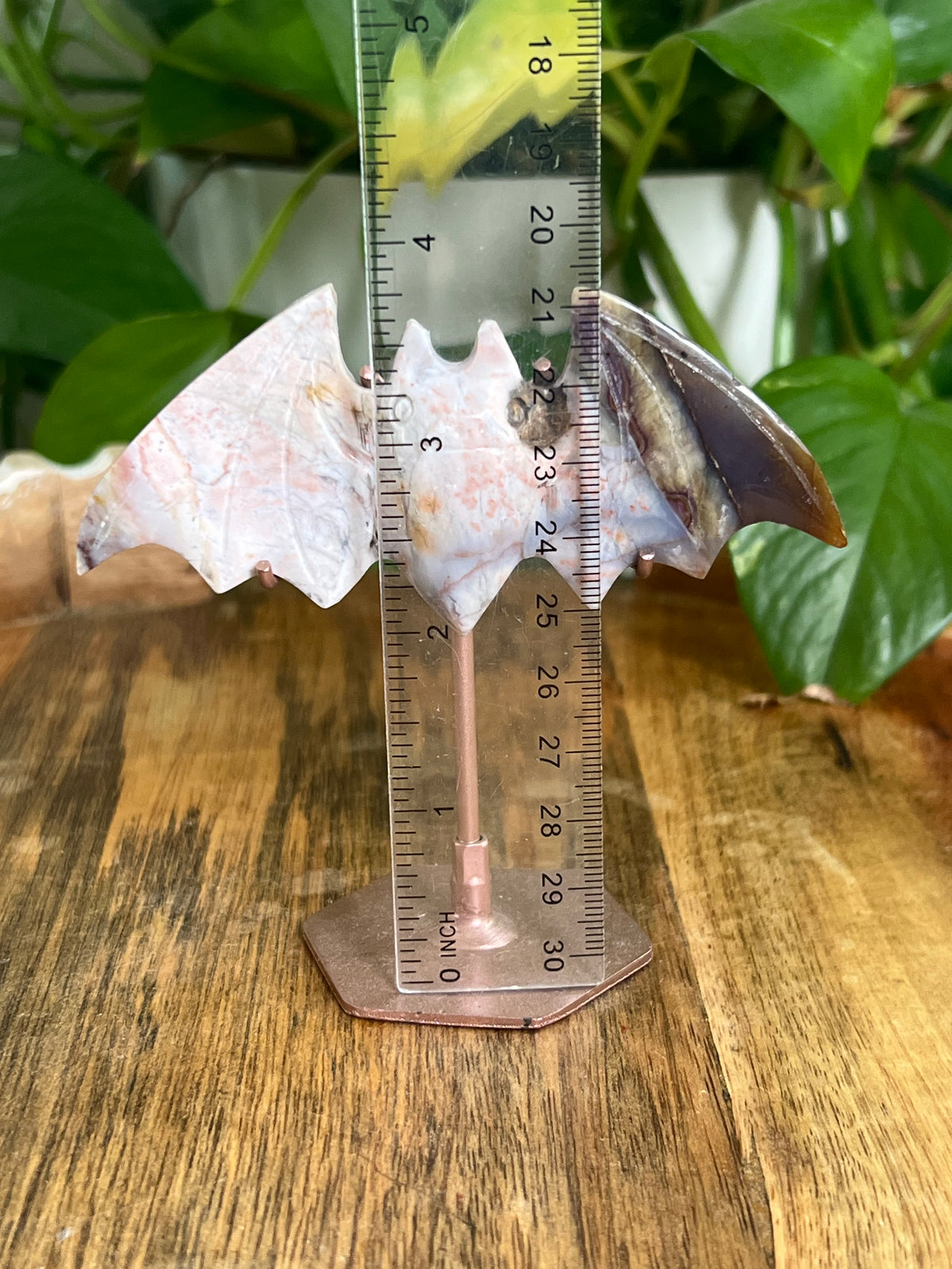 River Jasper Bat