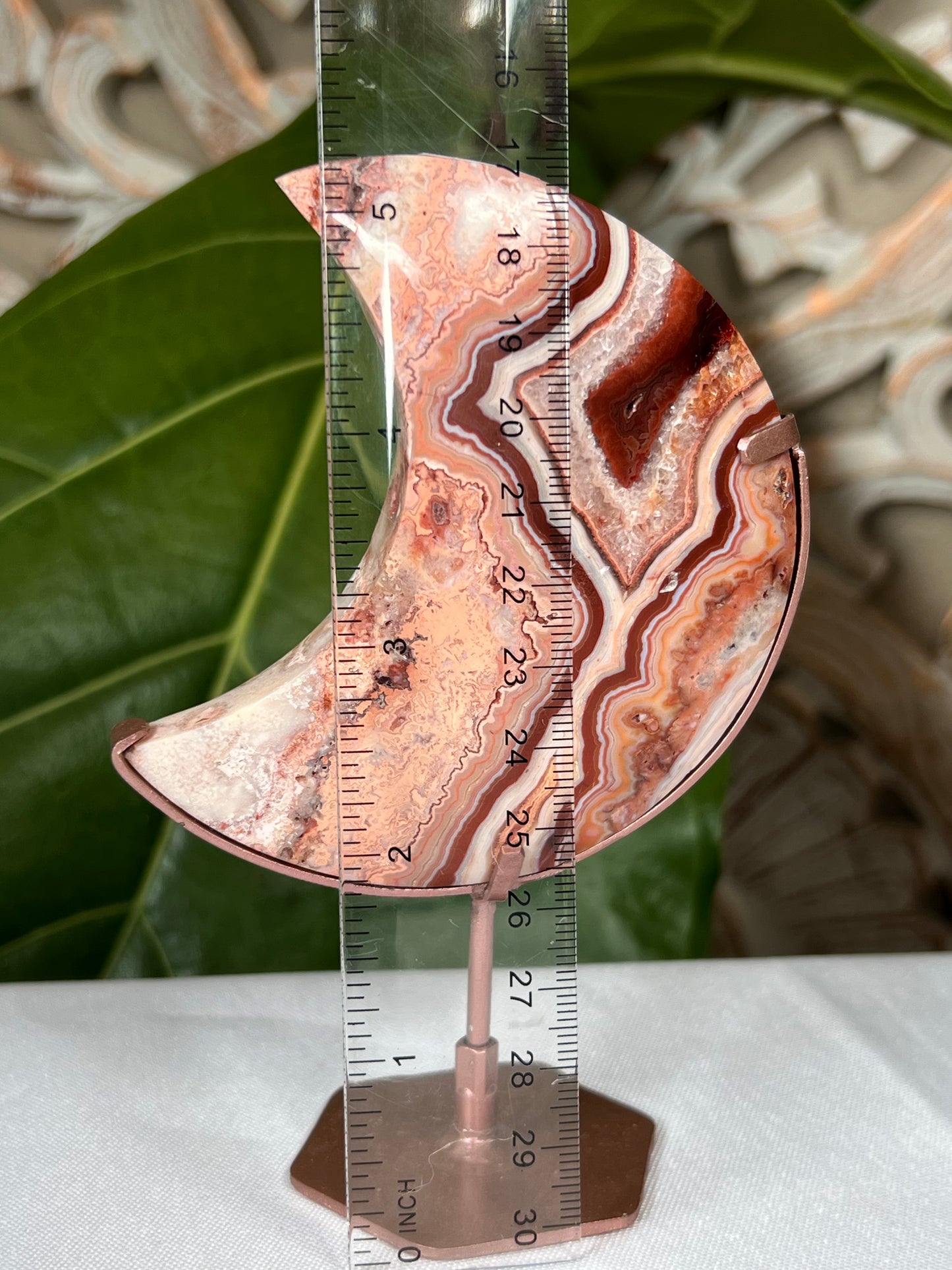 Crazy Lace Agate Moon