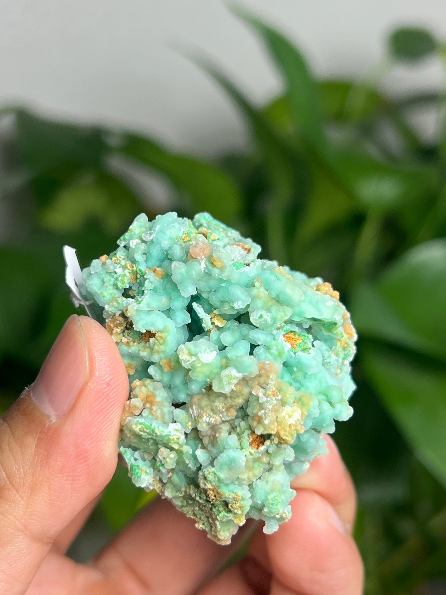 Smithsonite Specimen AB