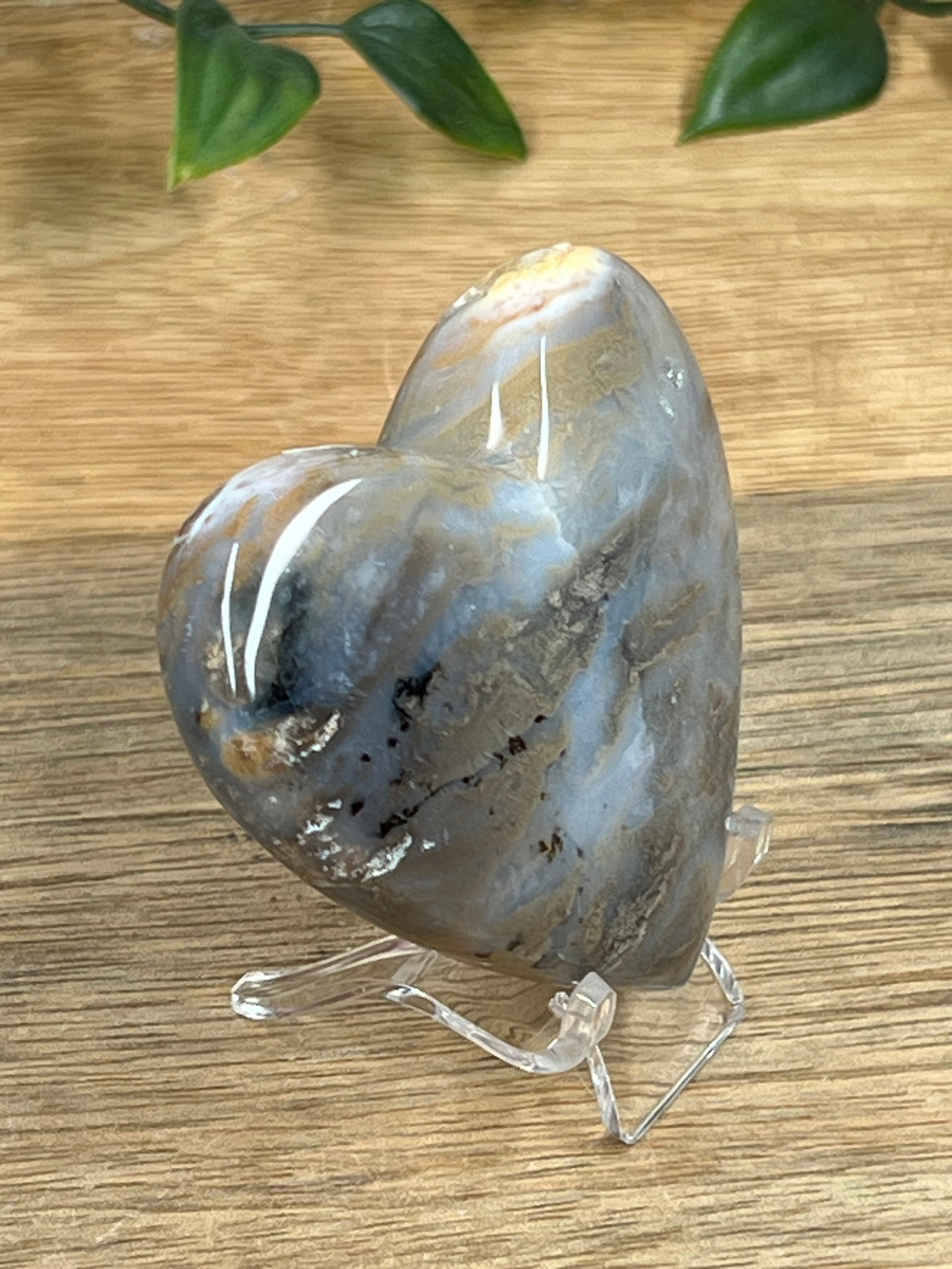 Dendritic Tiger Agate Heart