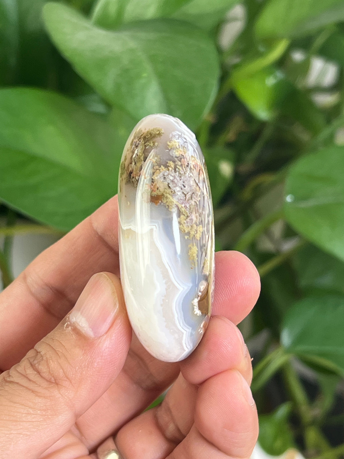 Scenic Moss Agate Palmstone: CA