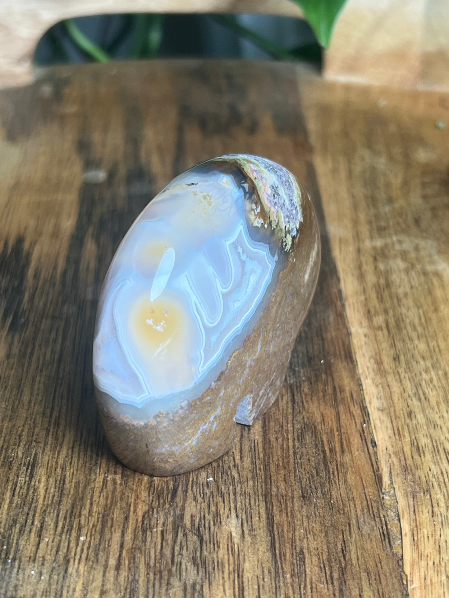 Scenic Moss Agate Bear Bi