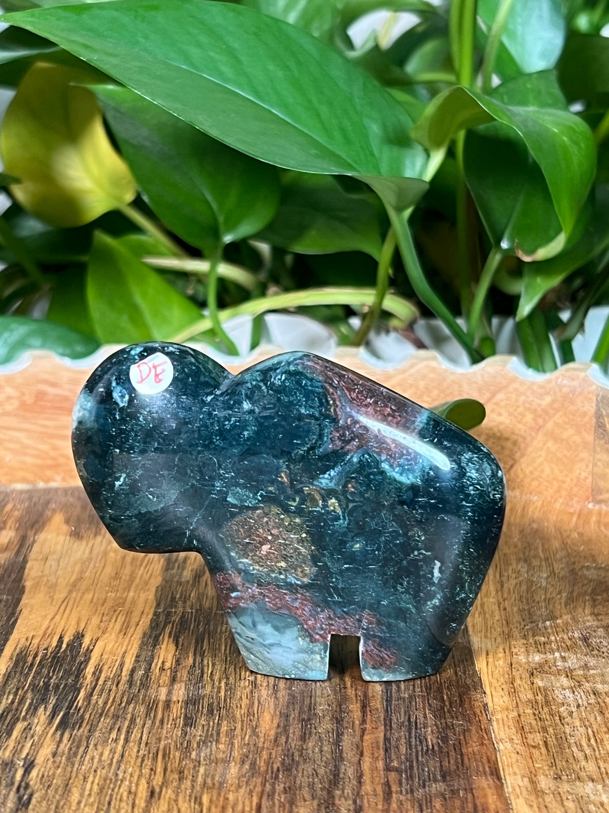 Blue Green Jasper Buffalos