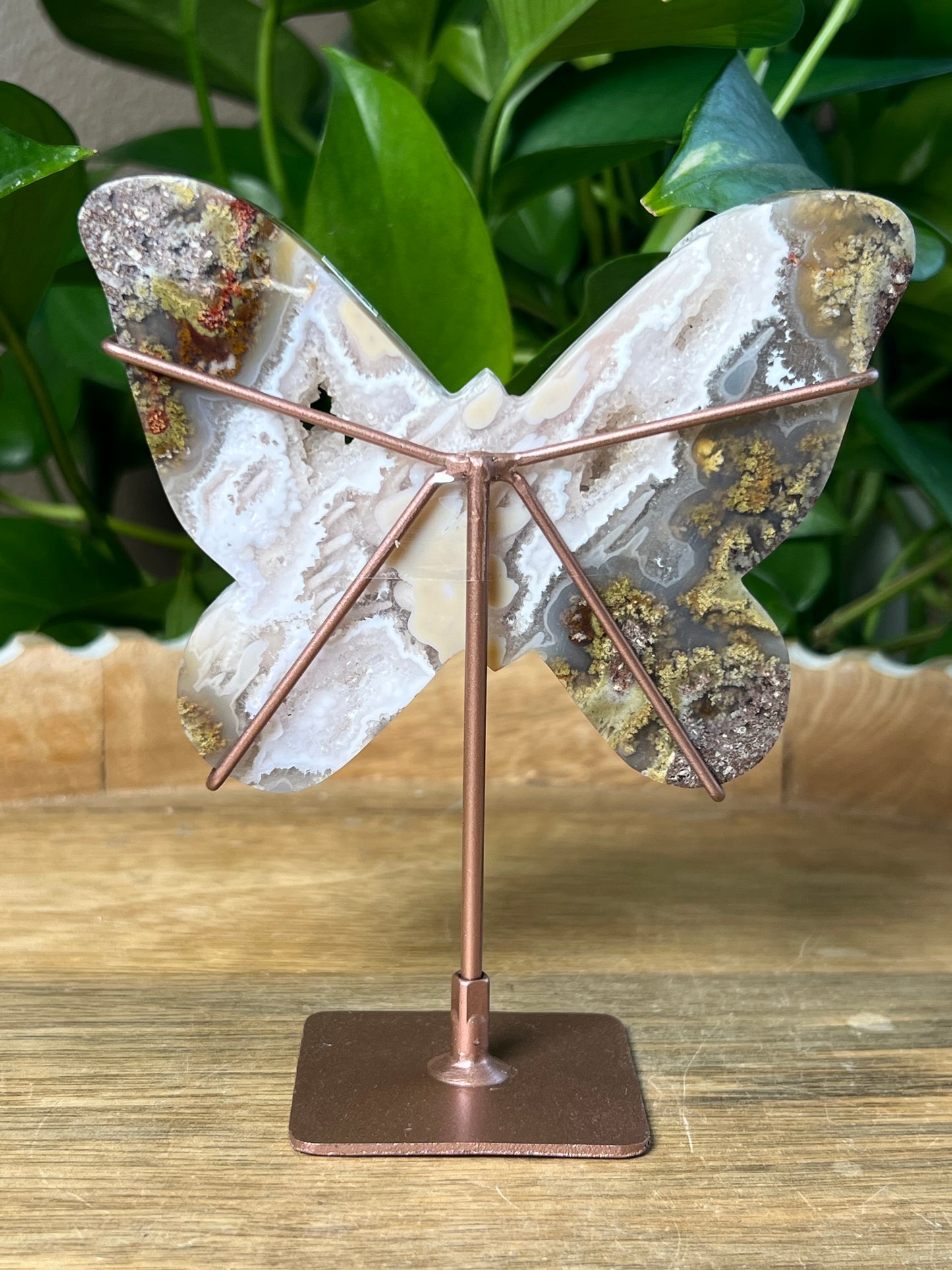 Scenic Moss Agate Butterfly