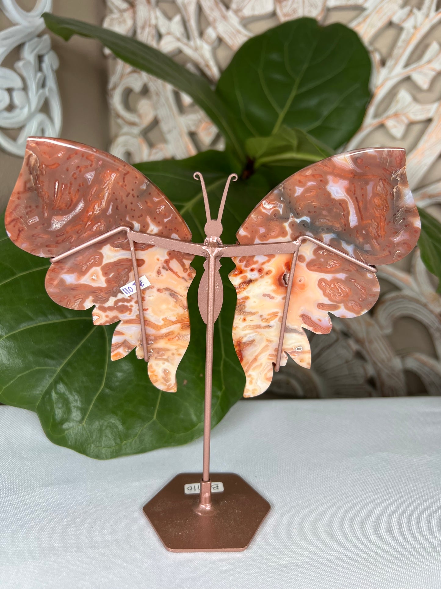 Carnelian Wings