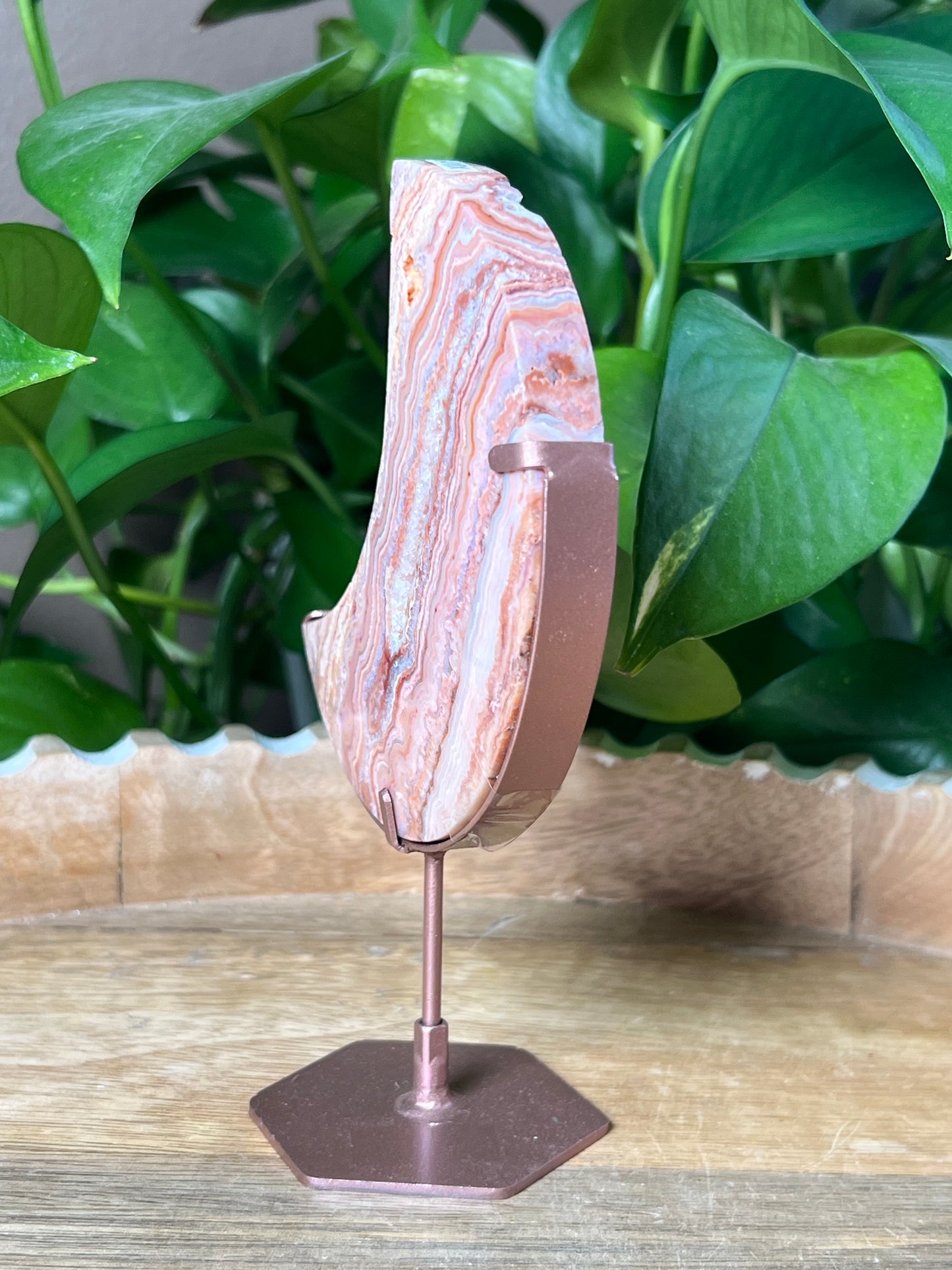 Crazy Lace Agate Moon