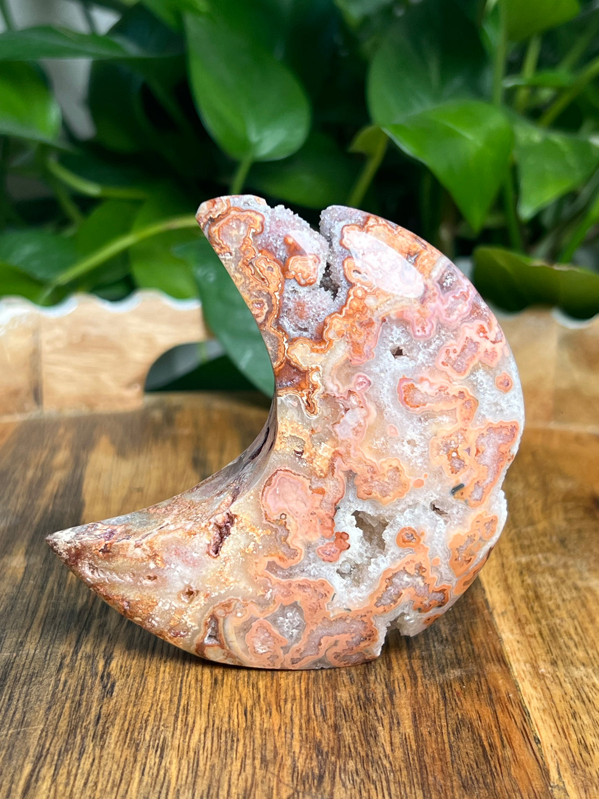 Crazy Lace Agate Self Standing Moon: MB