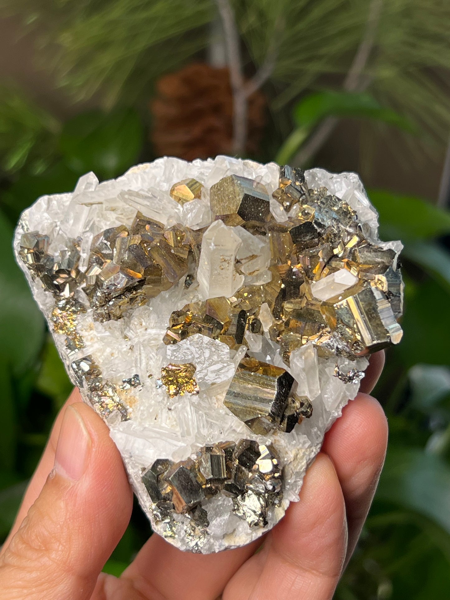 Rainbow Pyrite Quartz