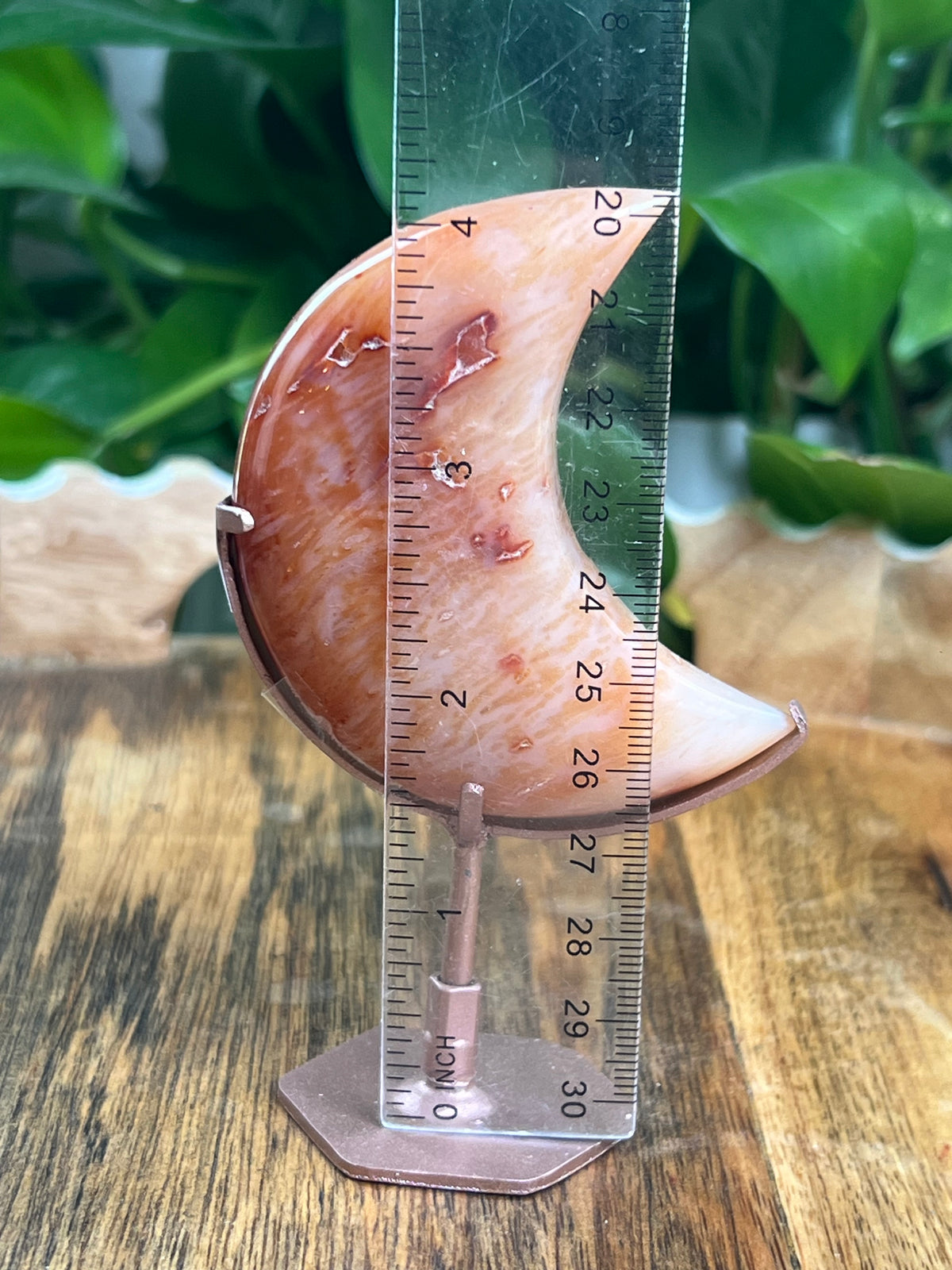 Carnelian Mini Puffy Moon: TC