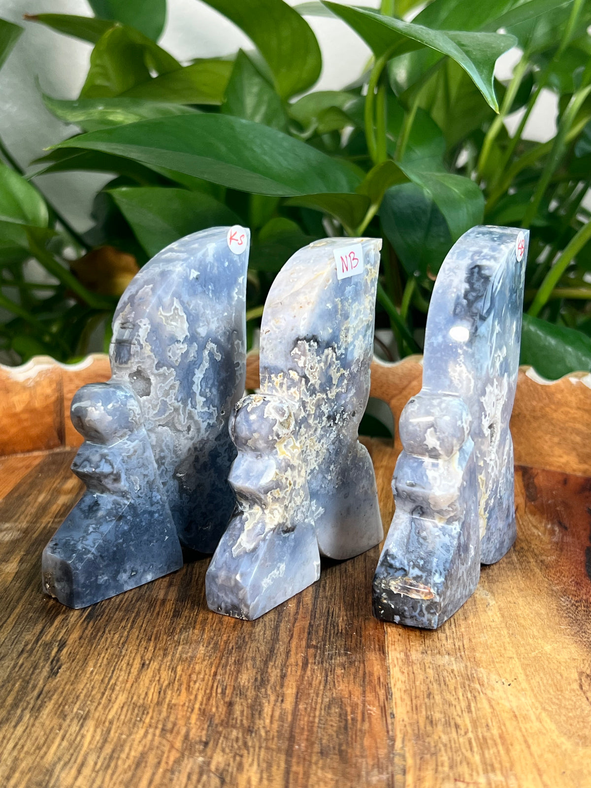Blue Plume Agate Fairies