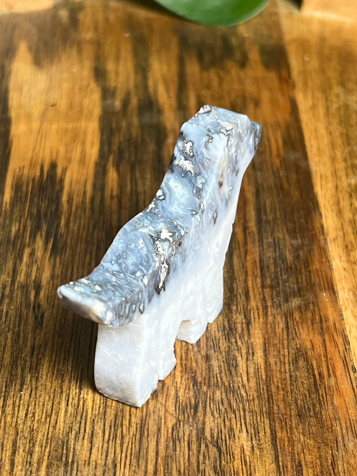 Blue Plume Agate Dog: BA