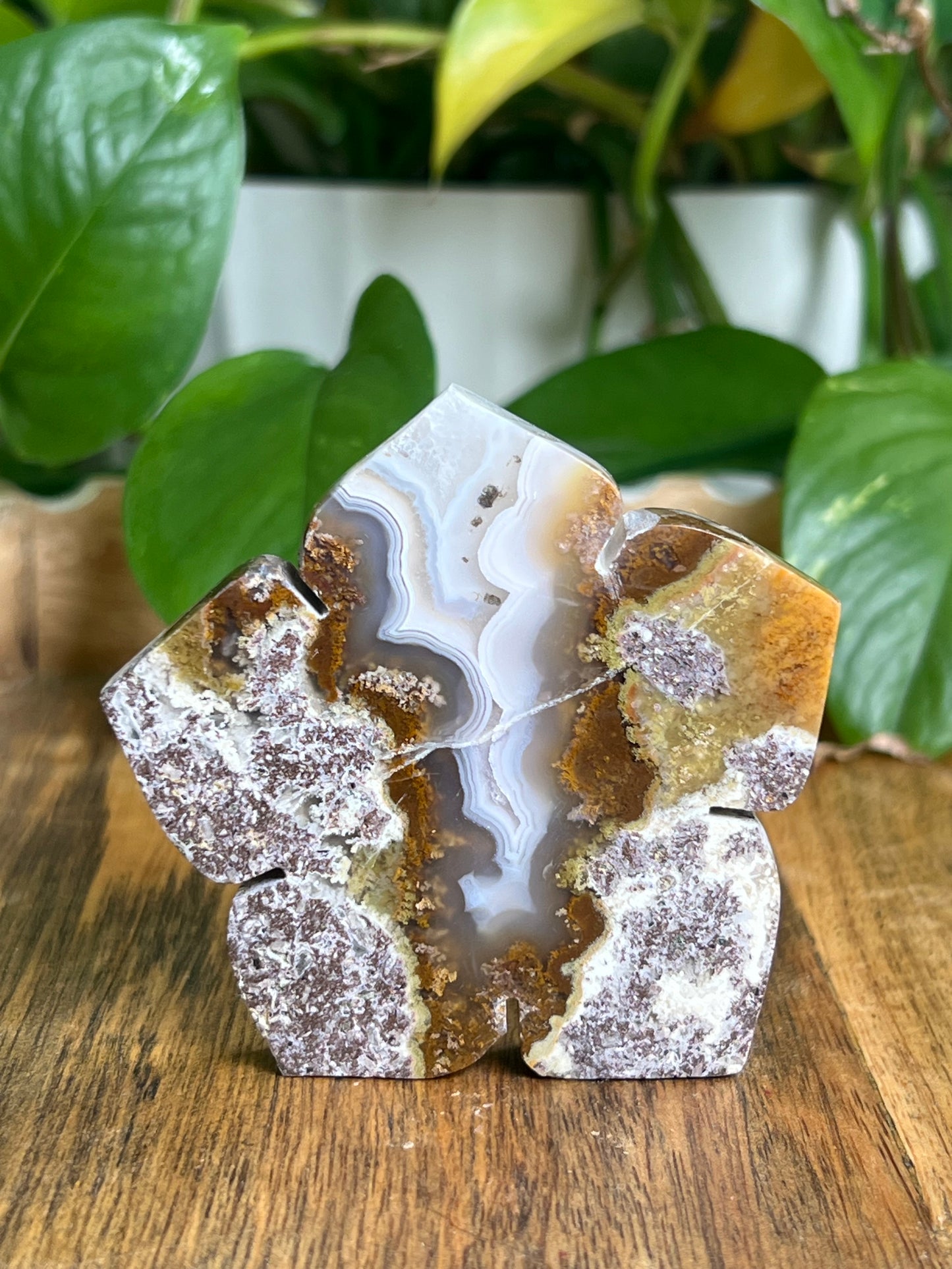 Scenic Moss Agate Flower KF
