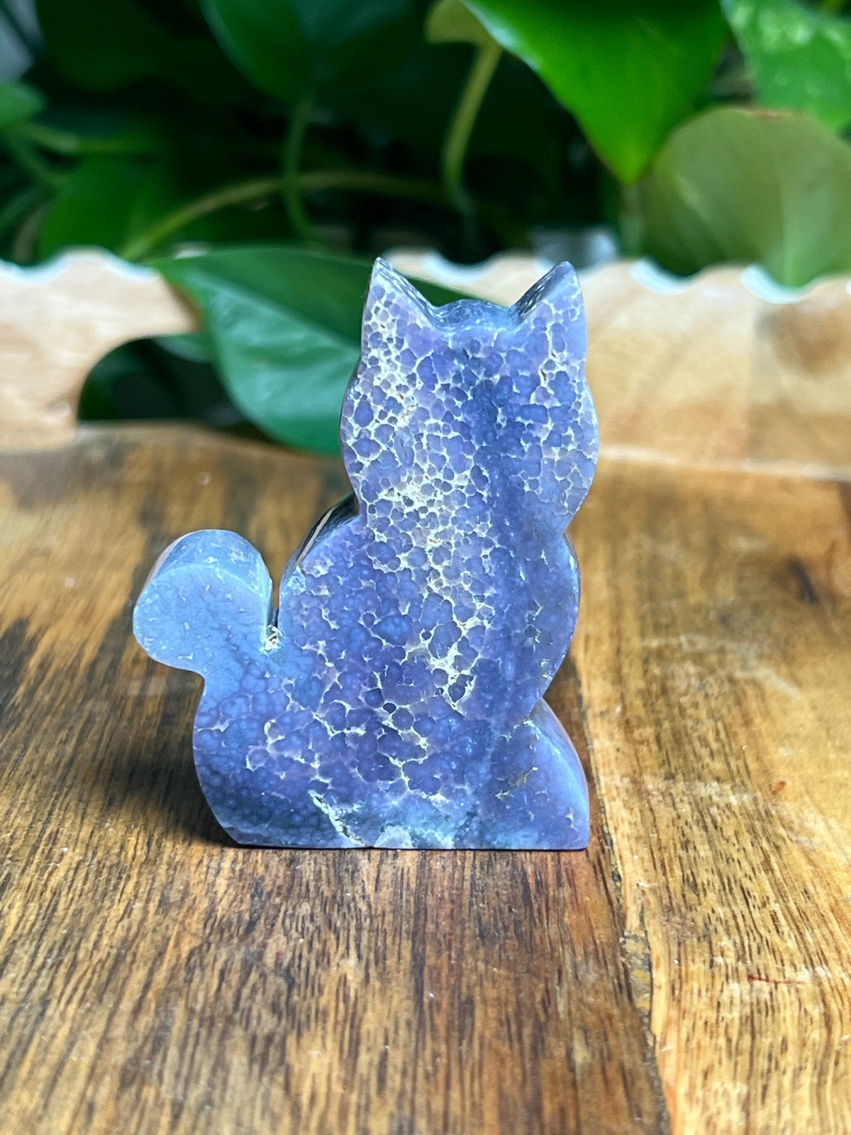 Grape Agate Mini Cat: BB