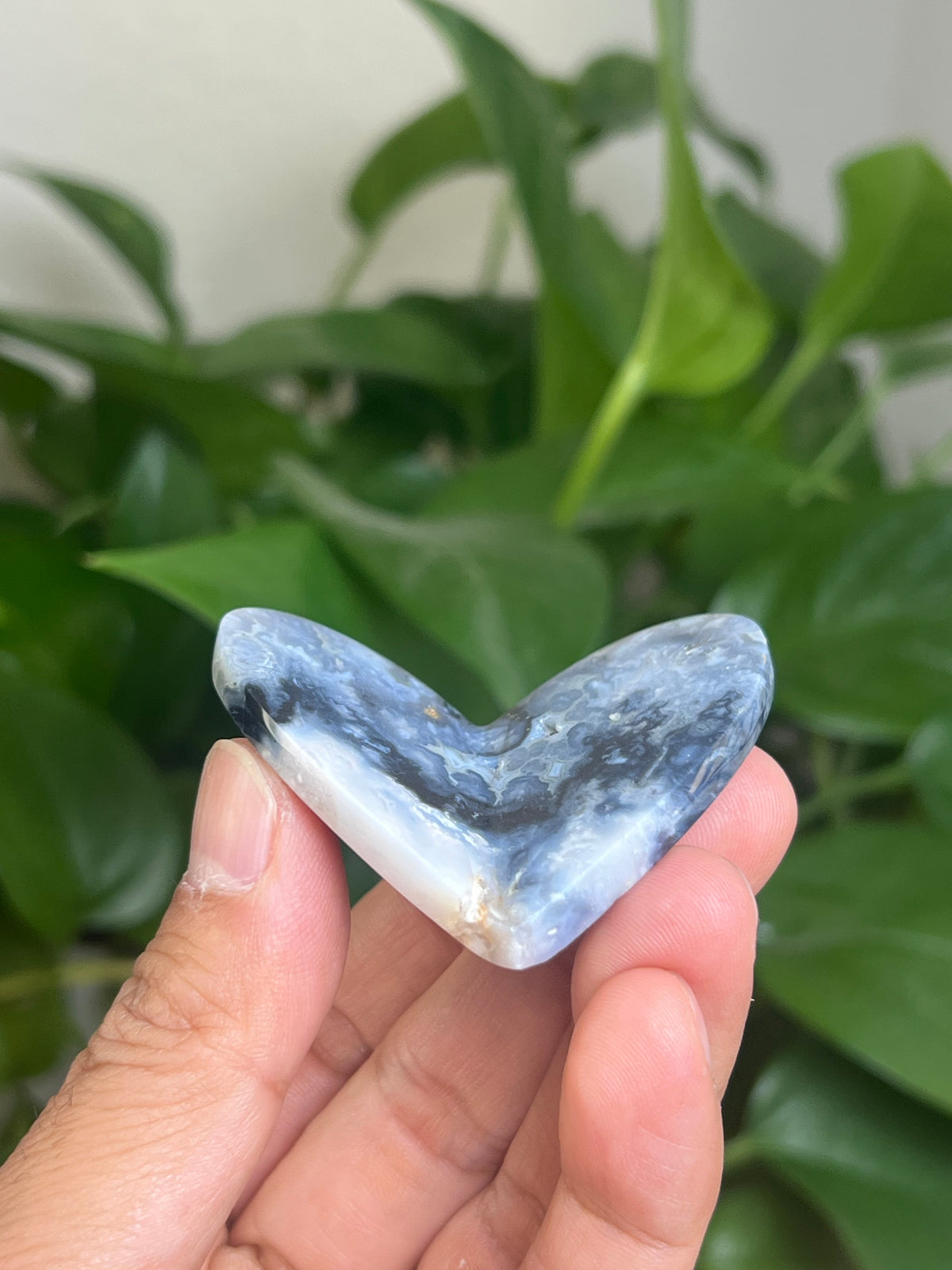 Blue Plume Agate 3D Butterfly: HB
